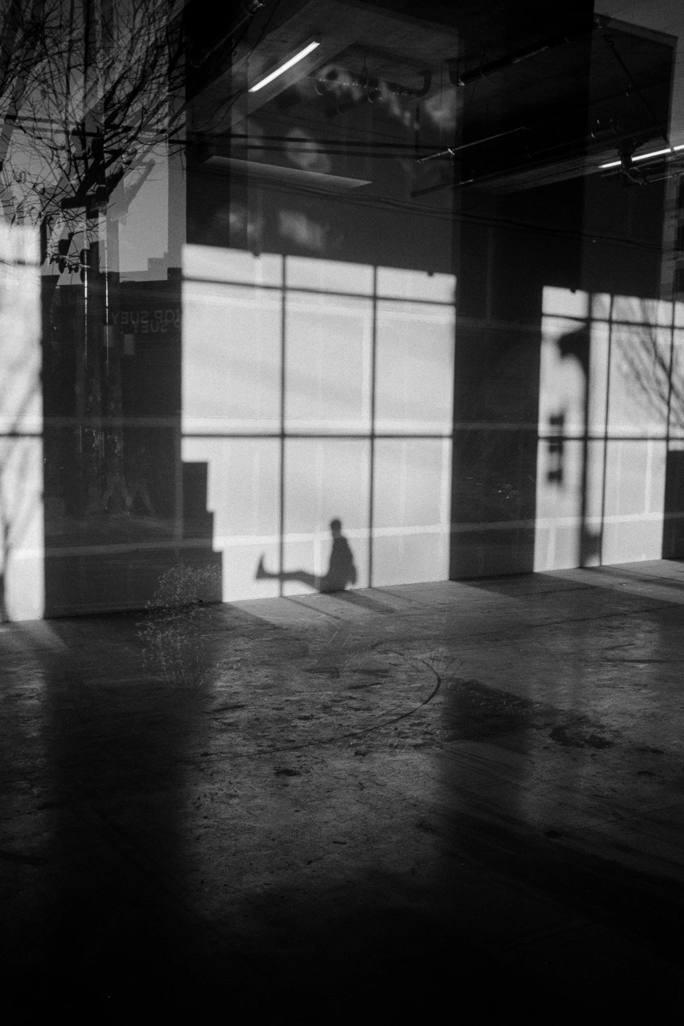 _DSC0018.jpg