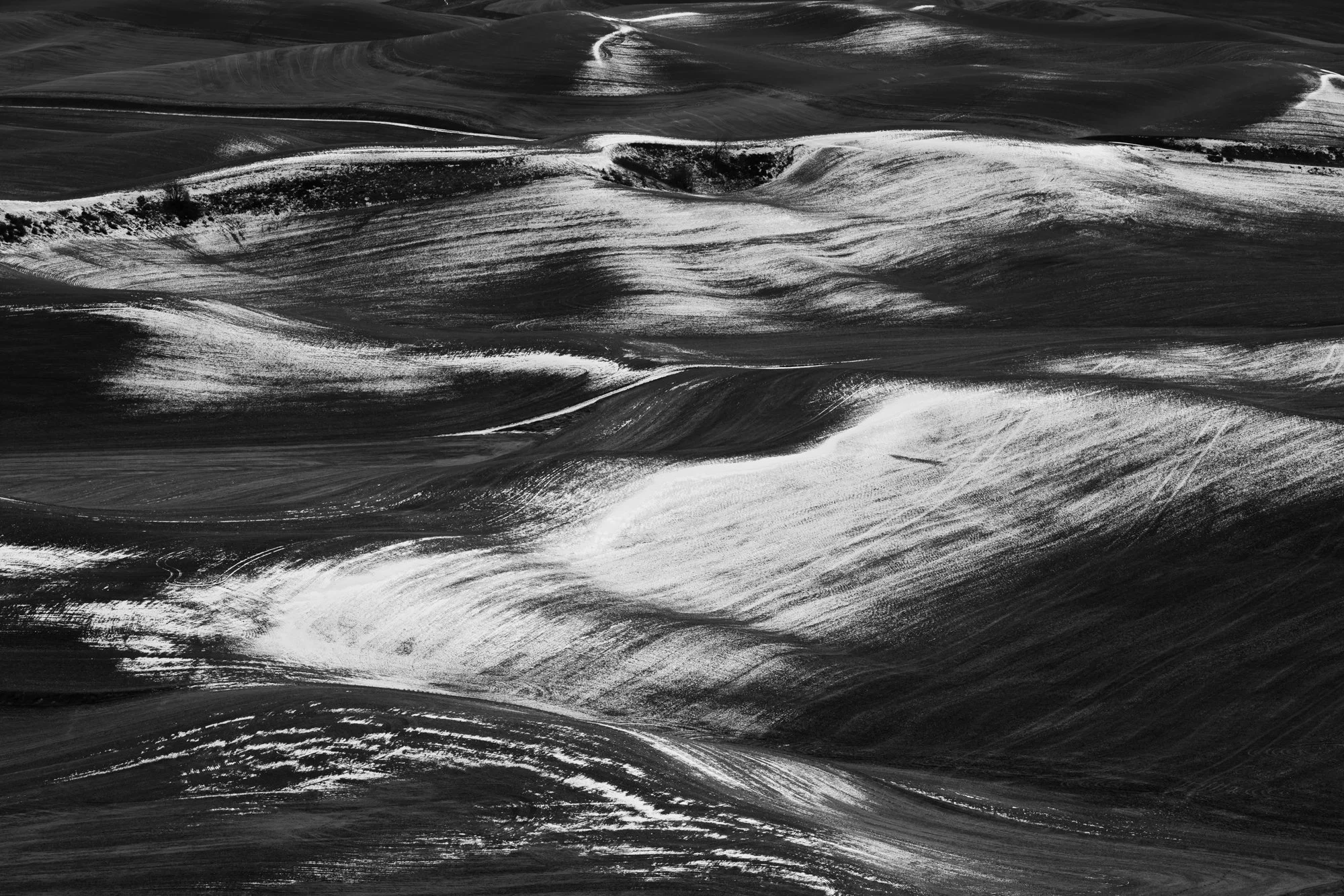 _DSC0281.jpg