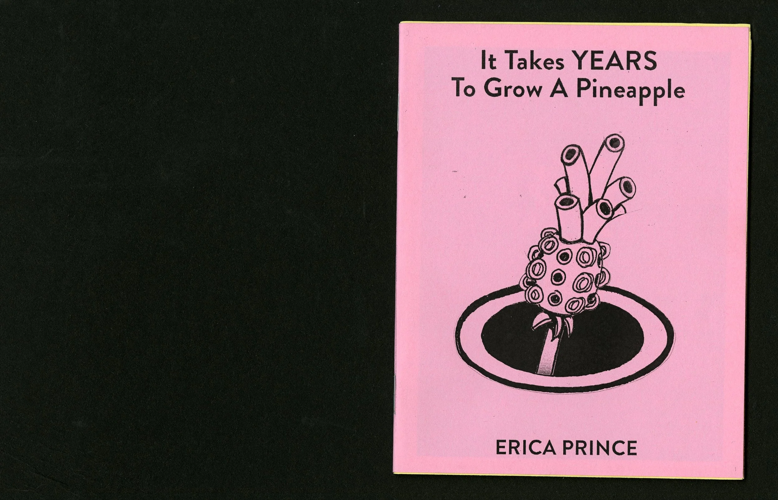 Prince002.jpg