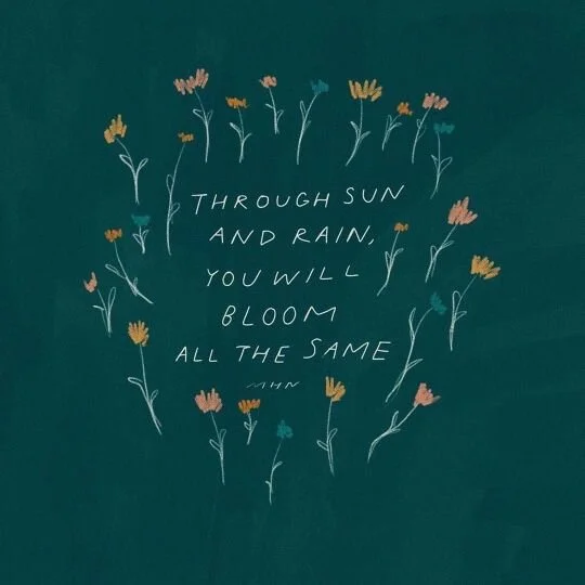 sun.jpg
