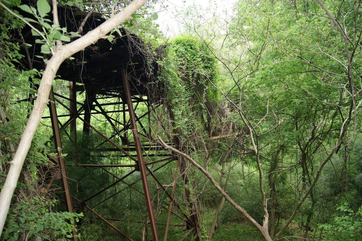 Foundry Branch Trolley Trestle Ruins