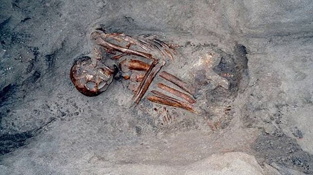 Although they were mummified, the humans of Cladh Hallan were buried in sand, which rubbed away their flesh and left them nothing more than a collection of stained bones. ⠀
⠀
However, thanks to incredible science we've been able to learn so much from
