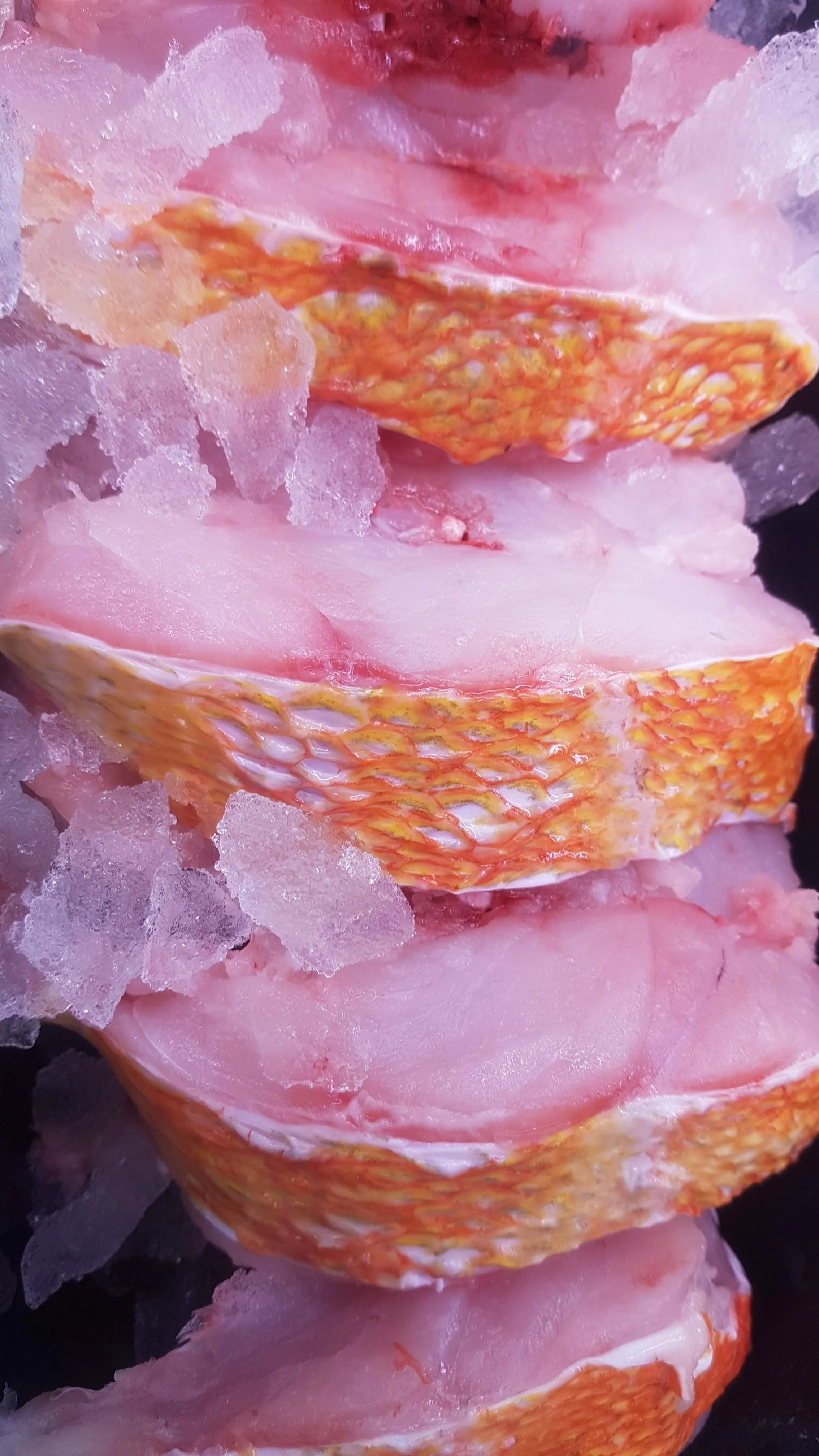 Rockfish Fillet.jpeg