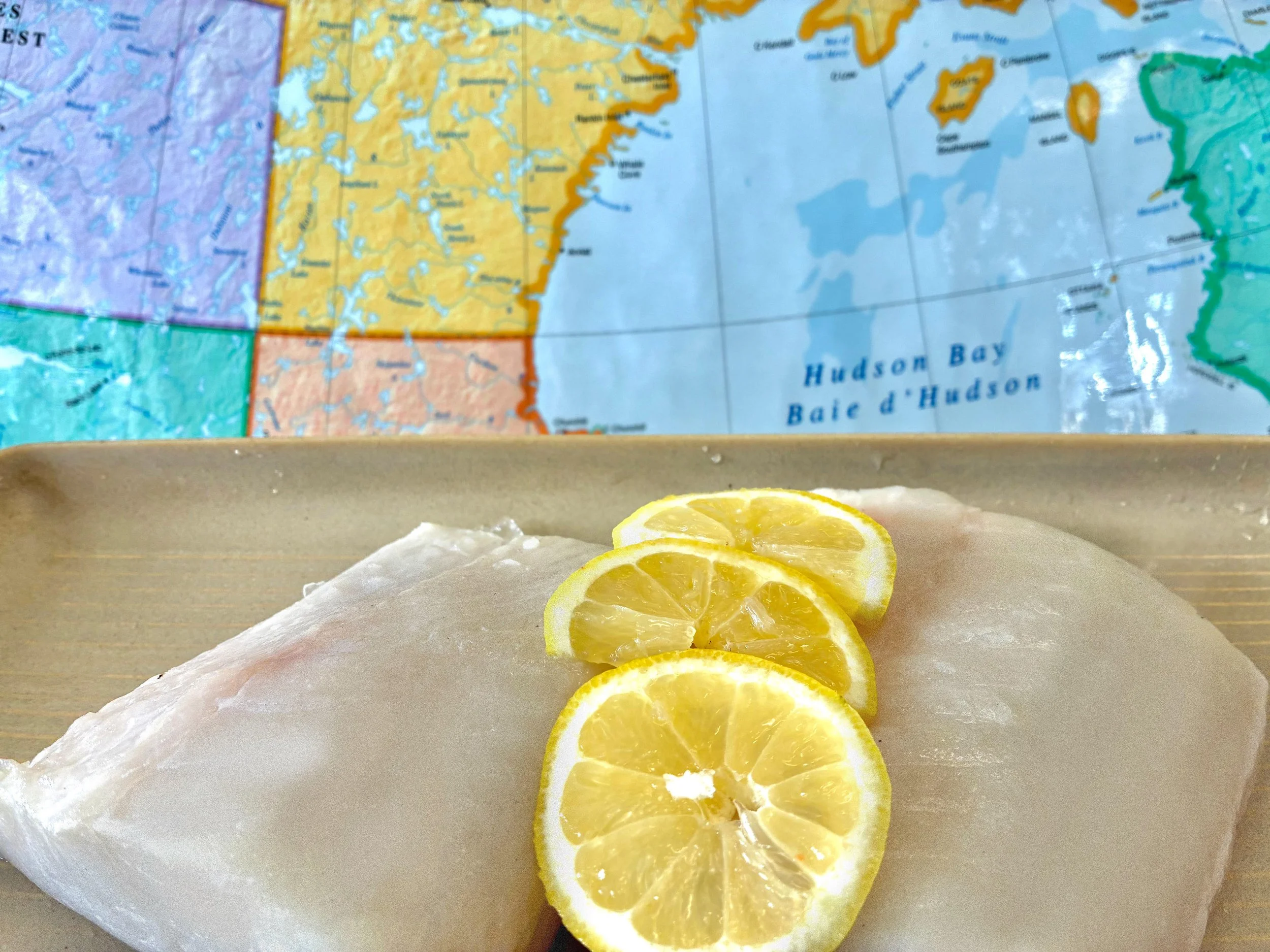turbot.jpg