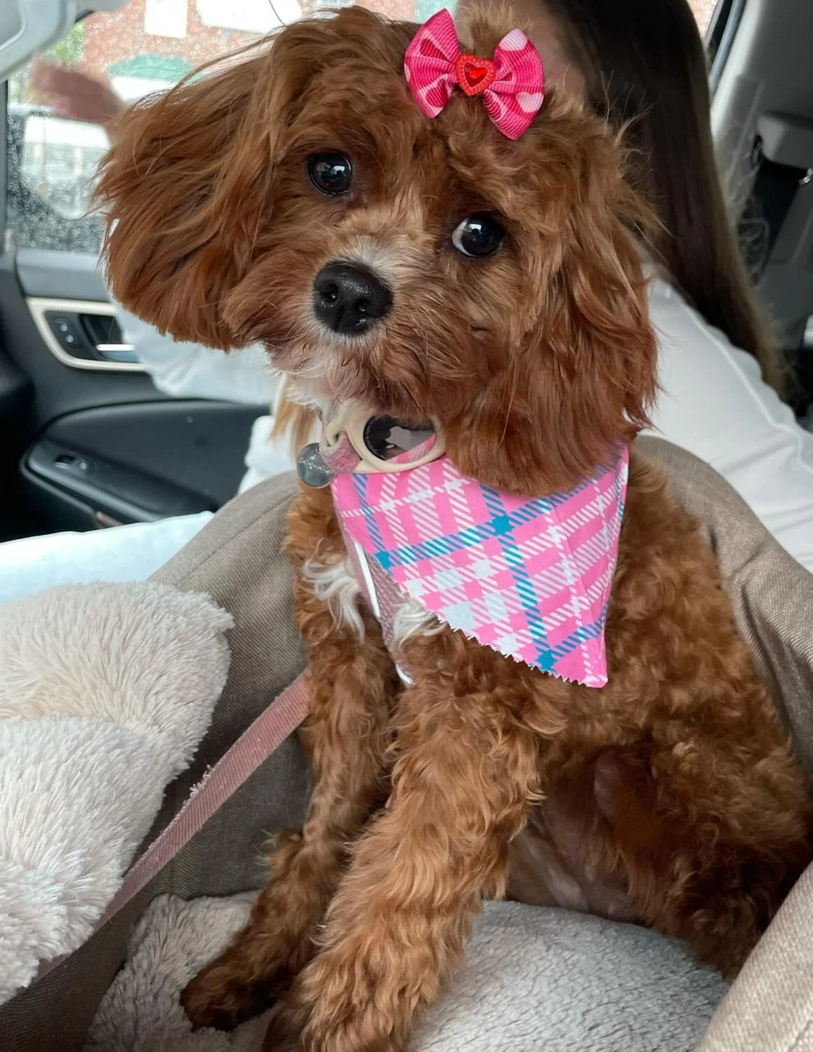 Business Suite_creation_86235673.JPG