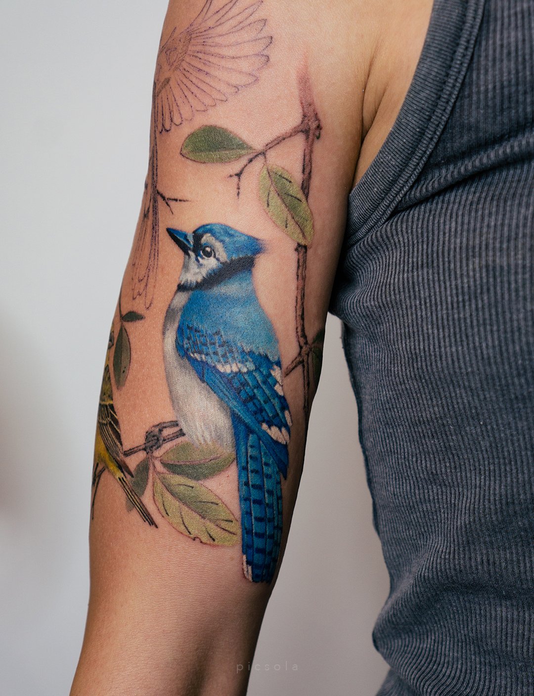 Shoulder Realistic Bird Tattoo by Piranha Tattoo Studio