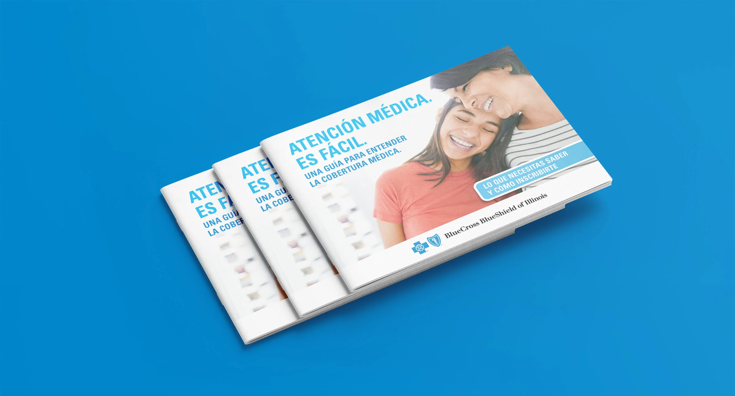 BCBS_Landscape_Brochure_Mockup_All in One_1.jpg
