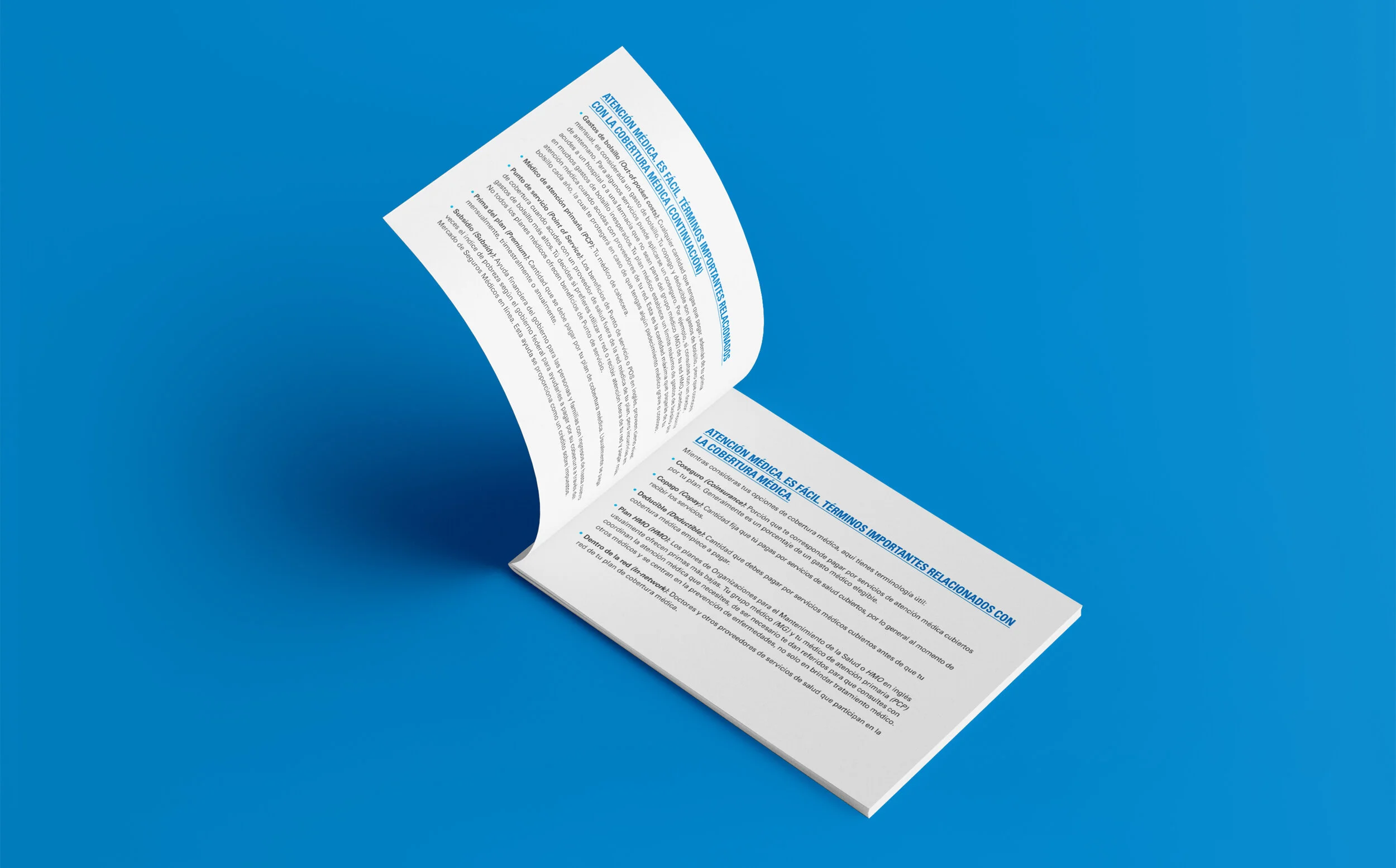 BCBS_Landscape_Brochure_Mockup_All in One_5.jpg