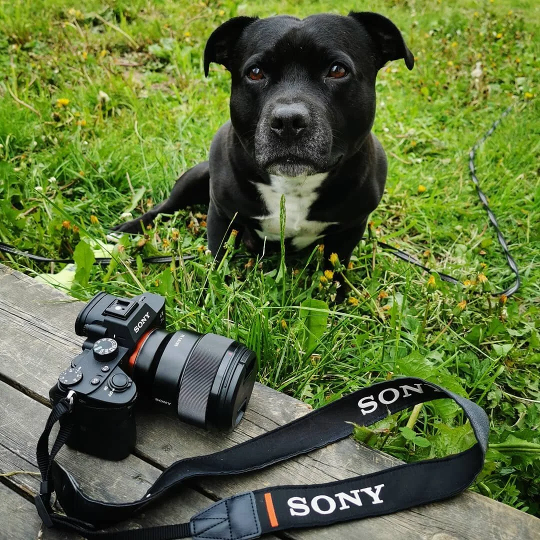 My momy, the photographer 📸 This account is going to change a little, from now on it will be about her photography and since she is a big animal lover there will be a lot of animal photos, and of course some of them will be of me from time to time ?