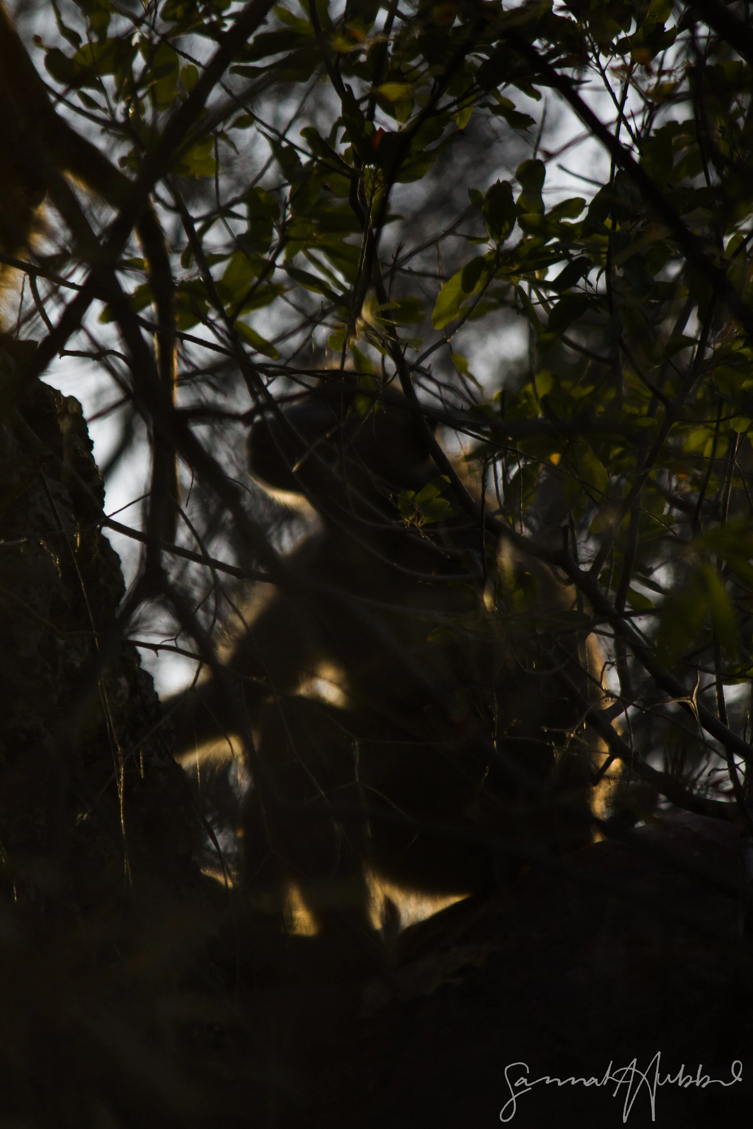 Victoria Falls, Zimbabwe, Africa