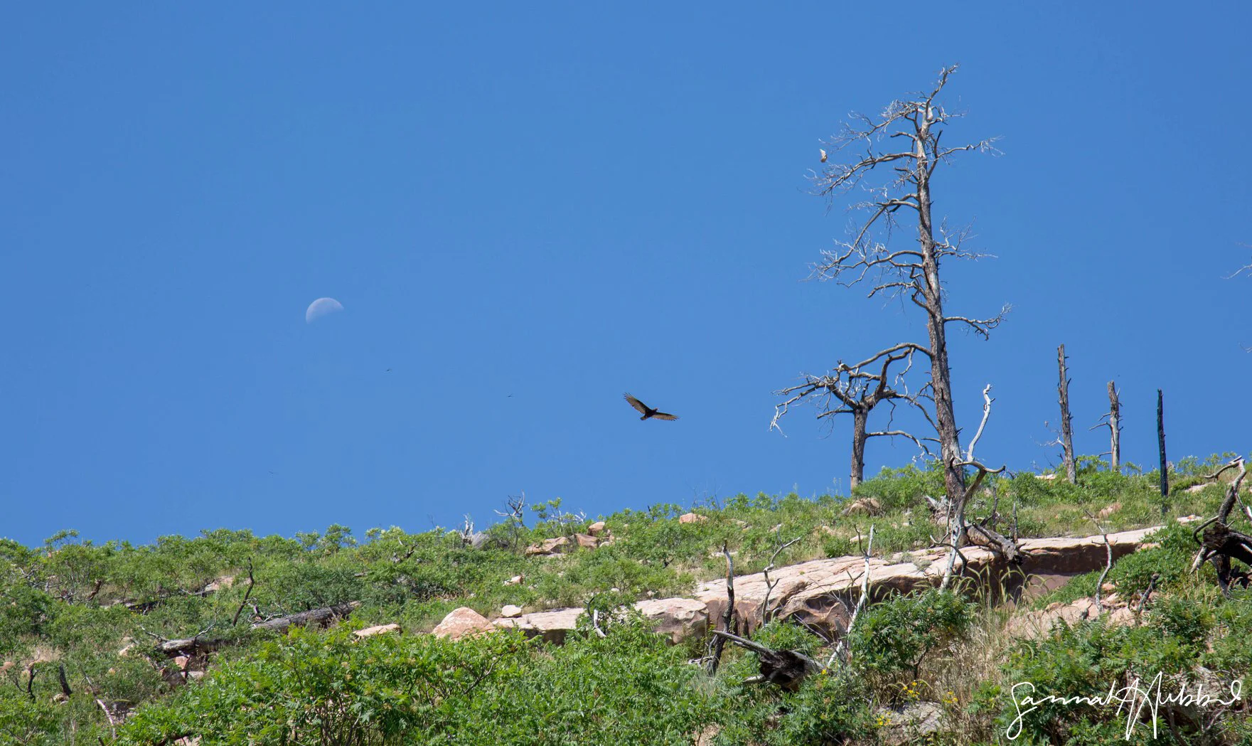 Rocky Mountain National Park, Colorado