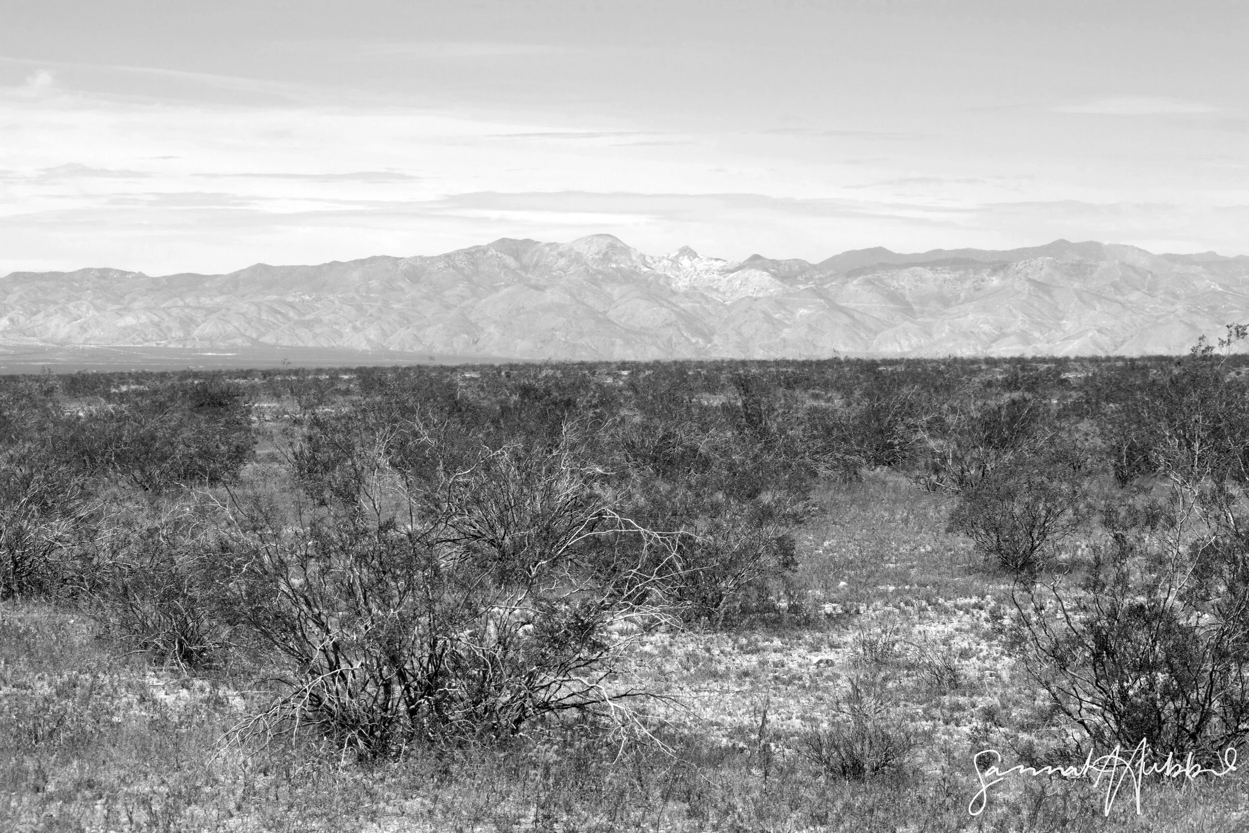 Mojave Desert, California, USA