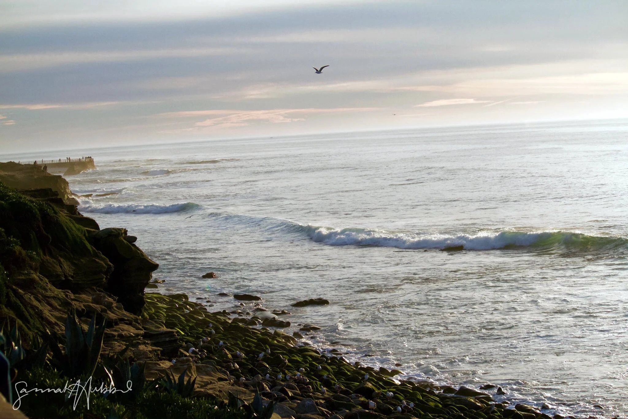 San Diego, California, USA