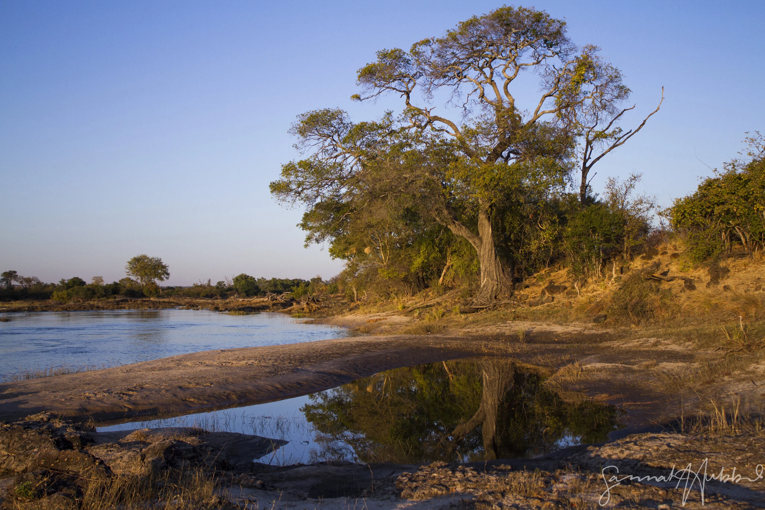 Zambezi National Park, Zimbabwe, Africa