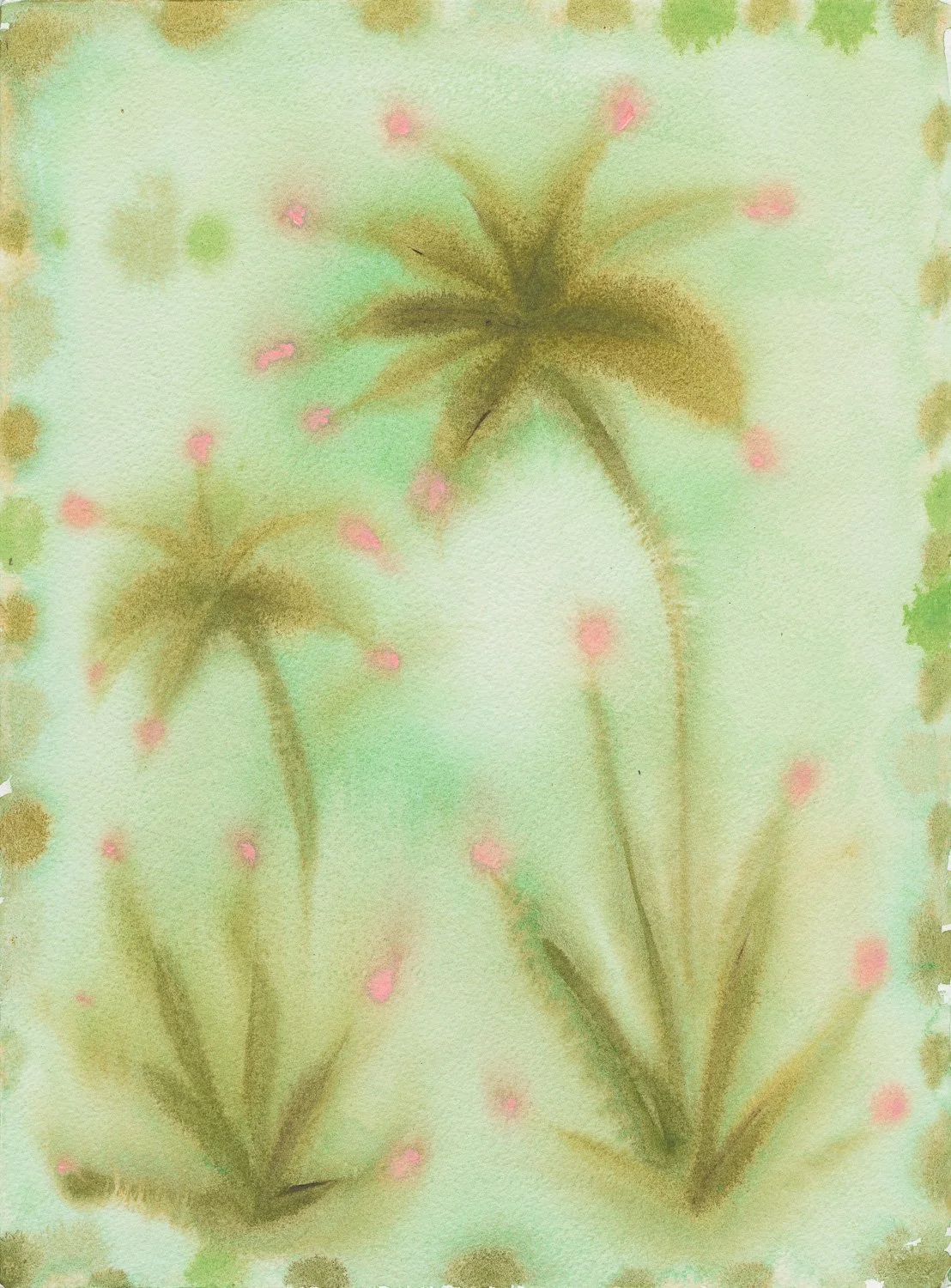 Seaweed Palms