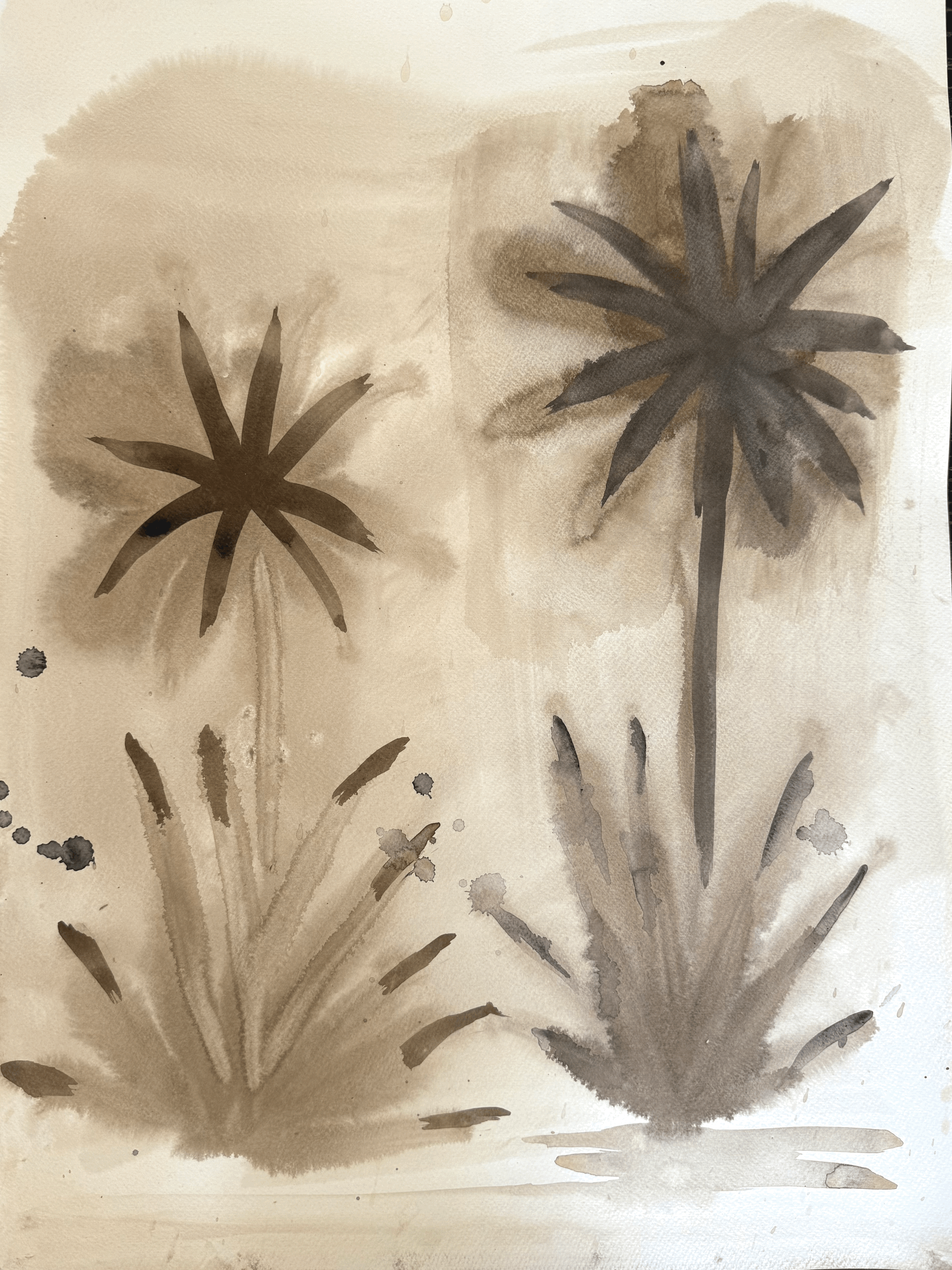Neutral Palms