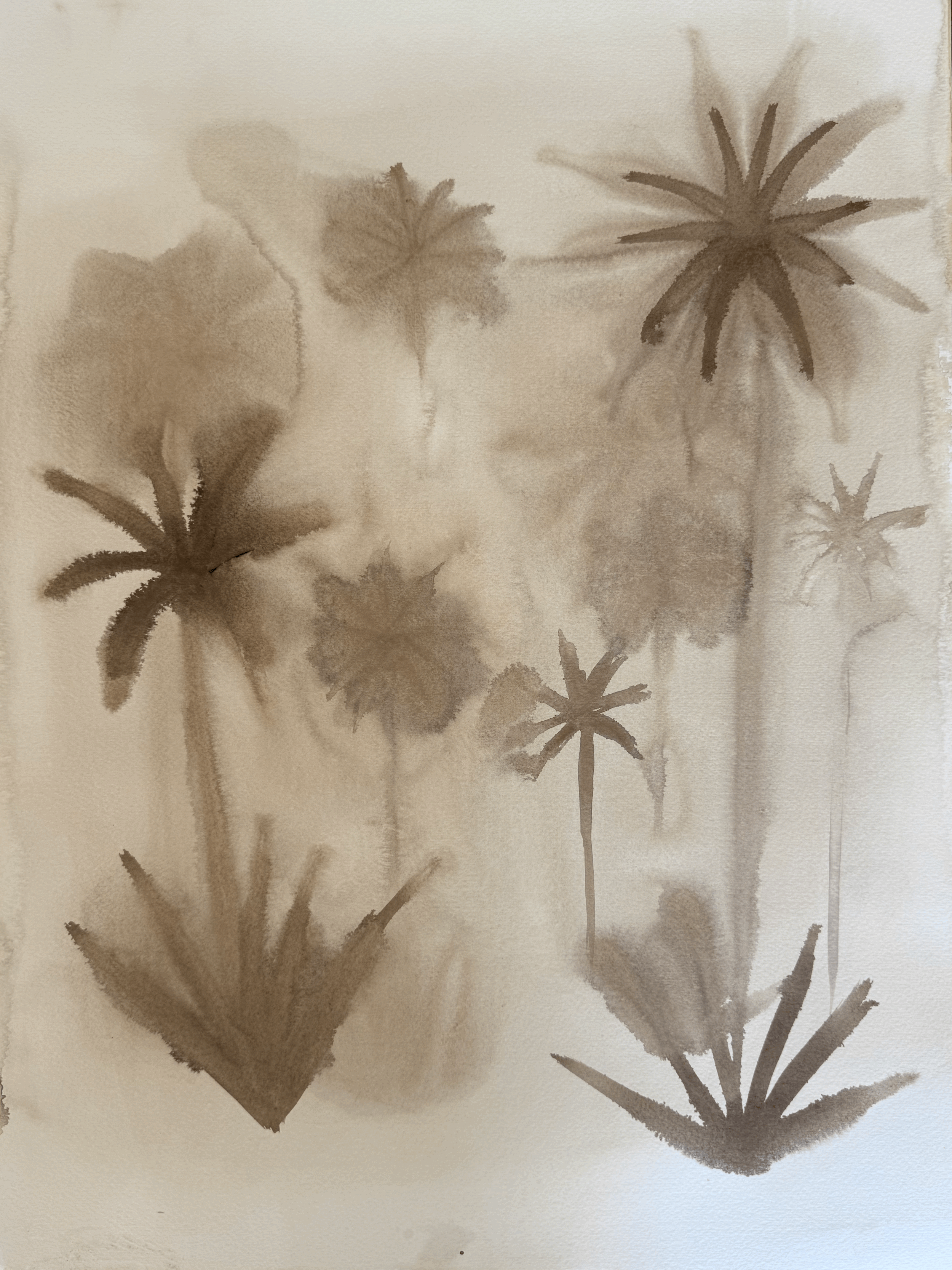 Faded Palms