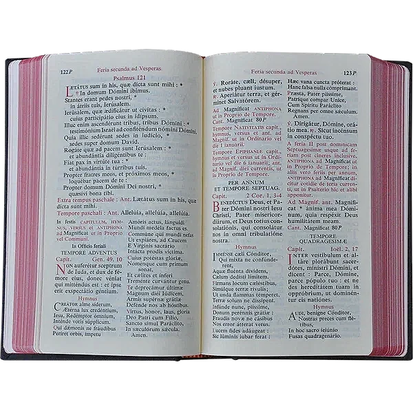 Diurnale_romanum_-_4_600x.webp