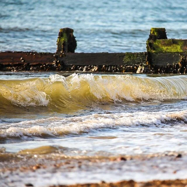 Looking forward to getting back in that water again soon! 🤞

#waves #beachlife #water #instadaily #photography #movement #lockdown #seaart #seashore #dreams #surf #waterphotography