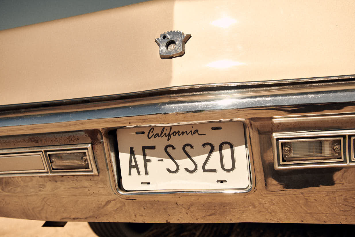 SS20 JT - 194154.jpg