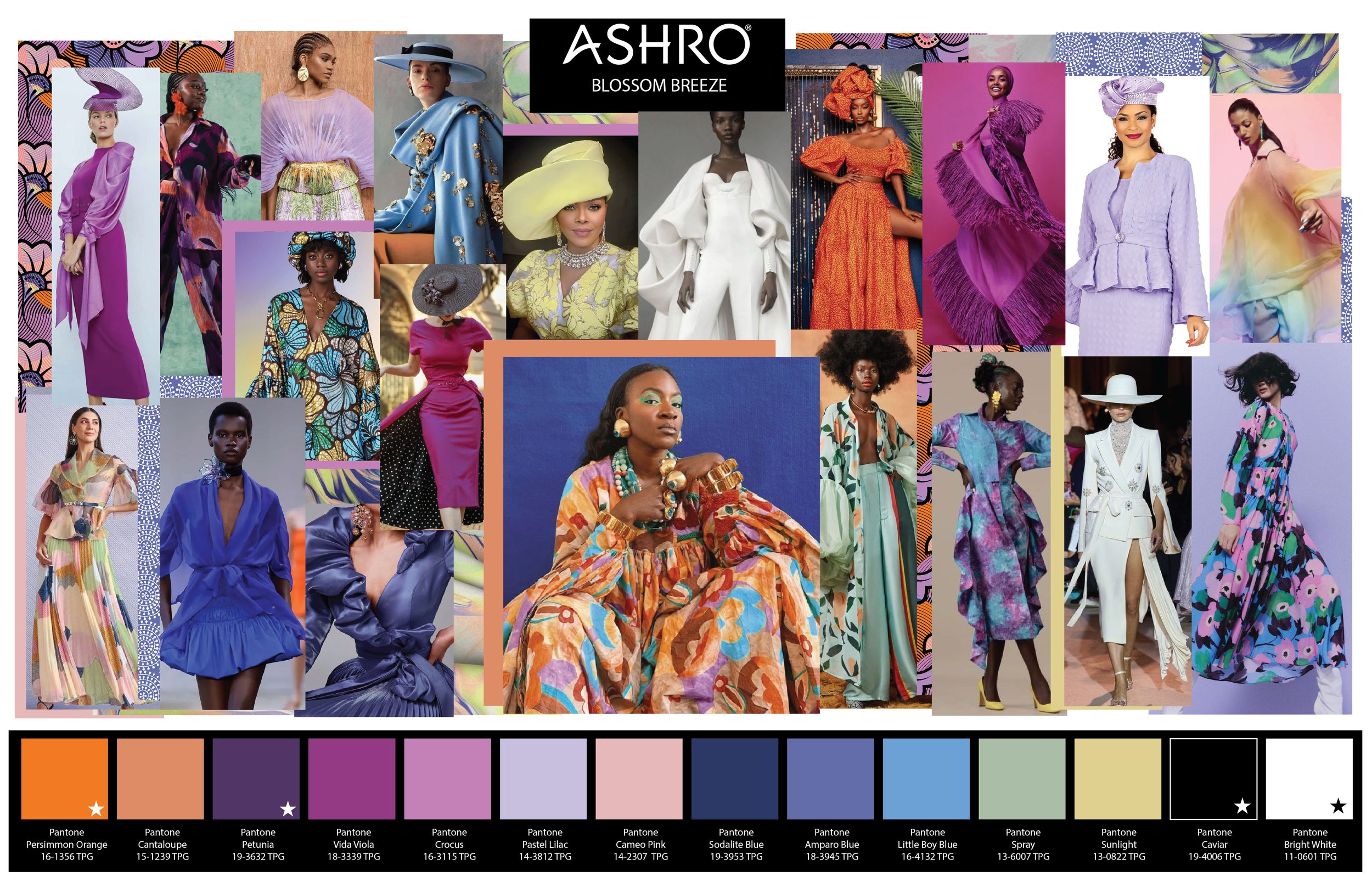 Ashro Color Palettes Spring 2026-04.jpg