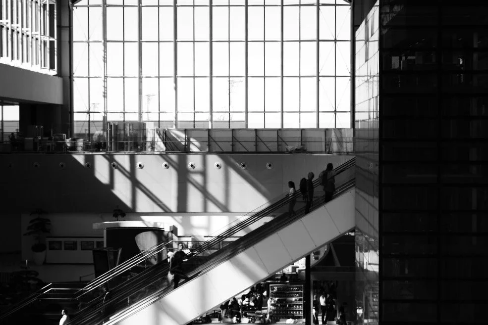 Follow lines, observe the light.