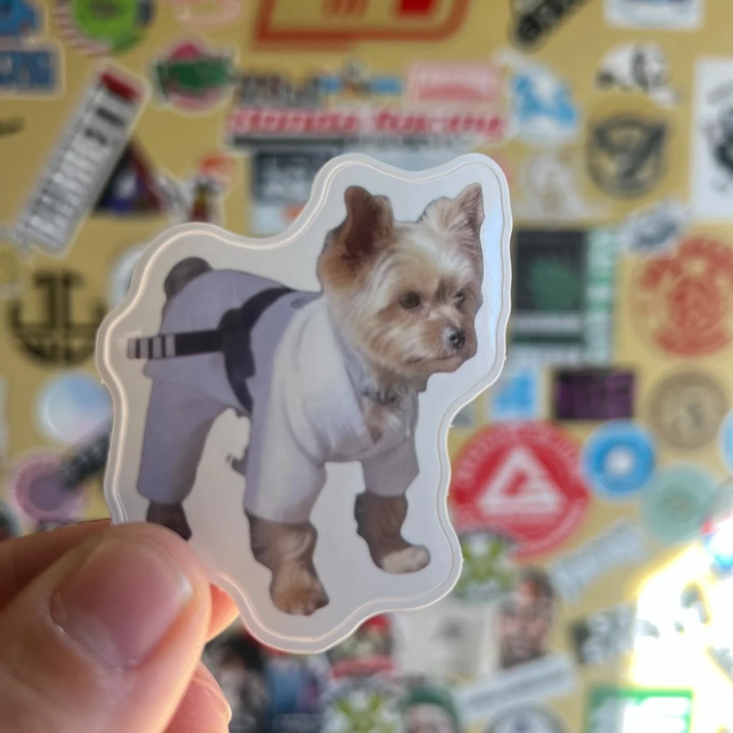 New Stickers
&bull;
Team Mascot Luna