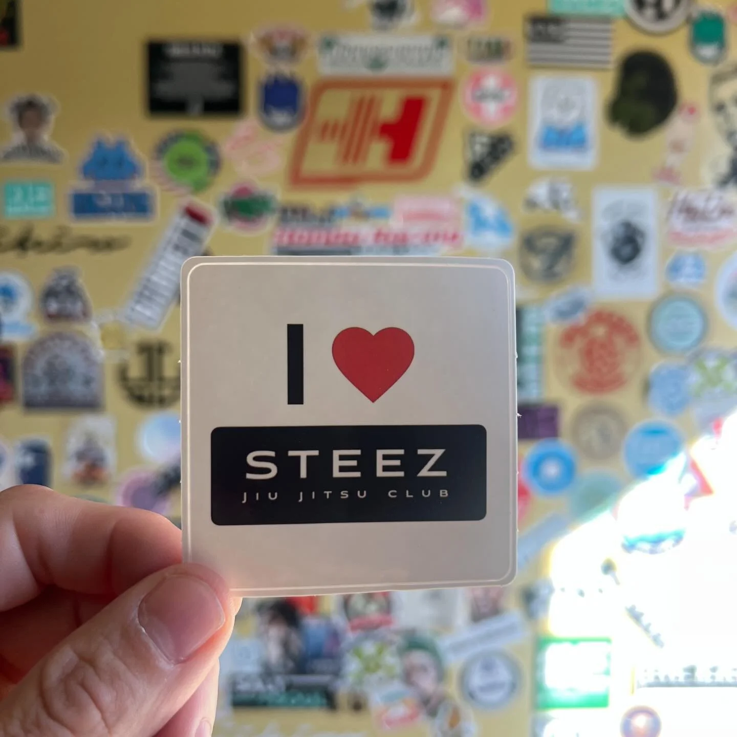 New Sticker. 
&bull;
I ❤️ Steez Jiujitsu Club