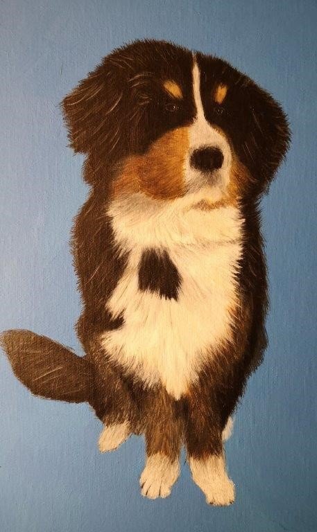 Bernese-Mountain-Dog-Animal-portrait-oil-painting-roy-awbery-awberyart.jpg