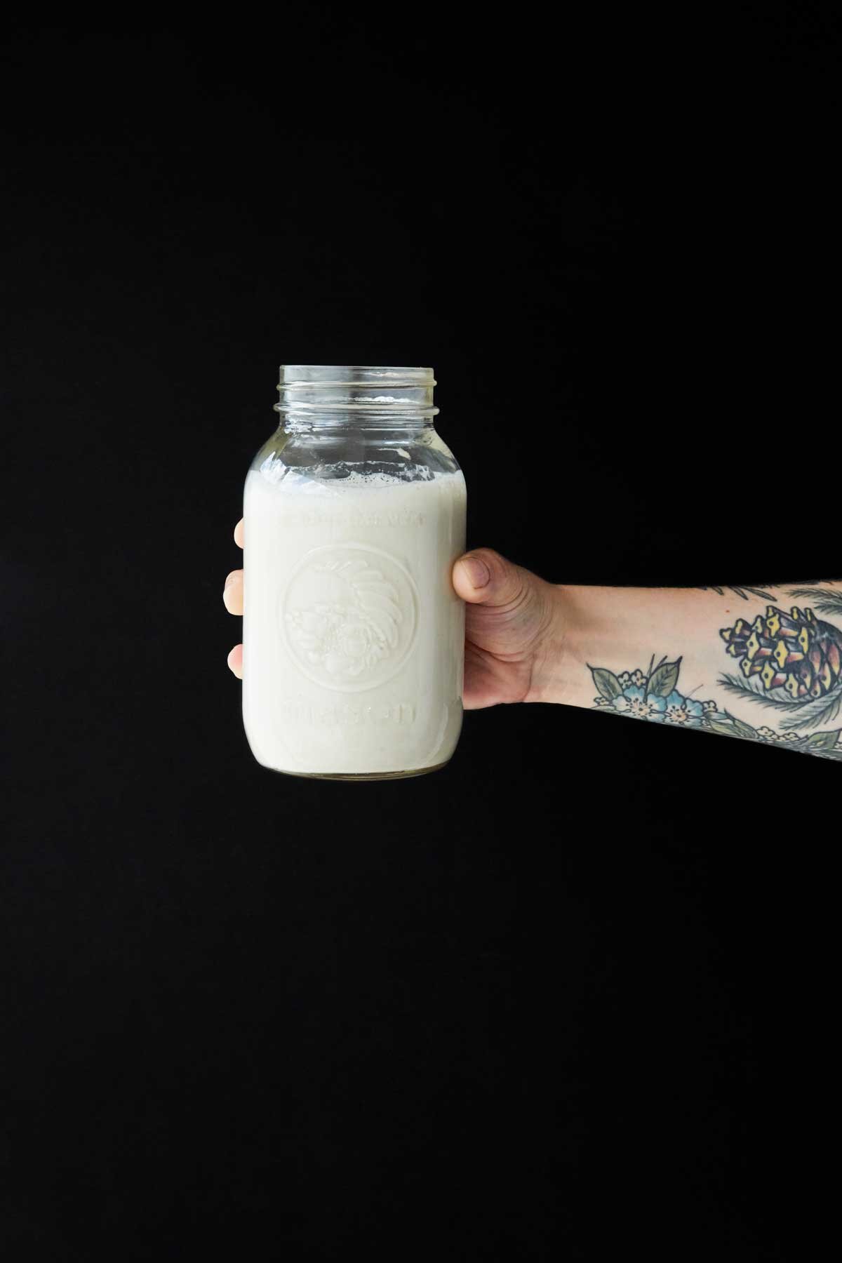 Basic Cashew White Sauce