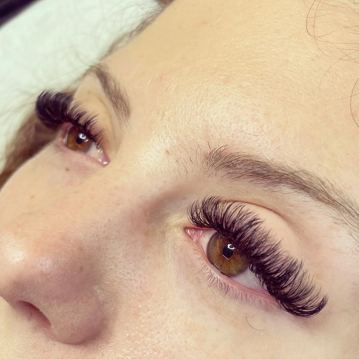 Fluffy hybrids 😍&hearts;️