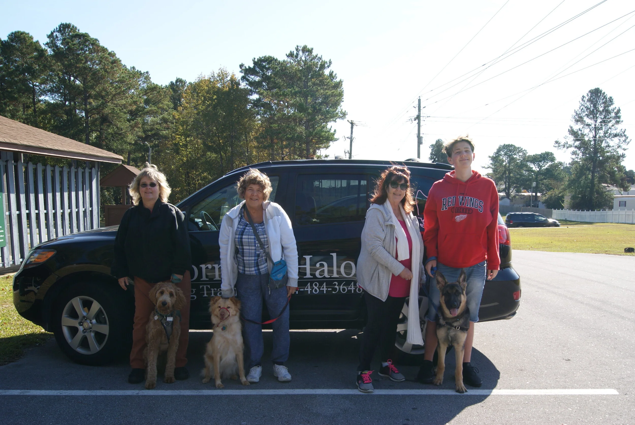 Training — Horns to Halos