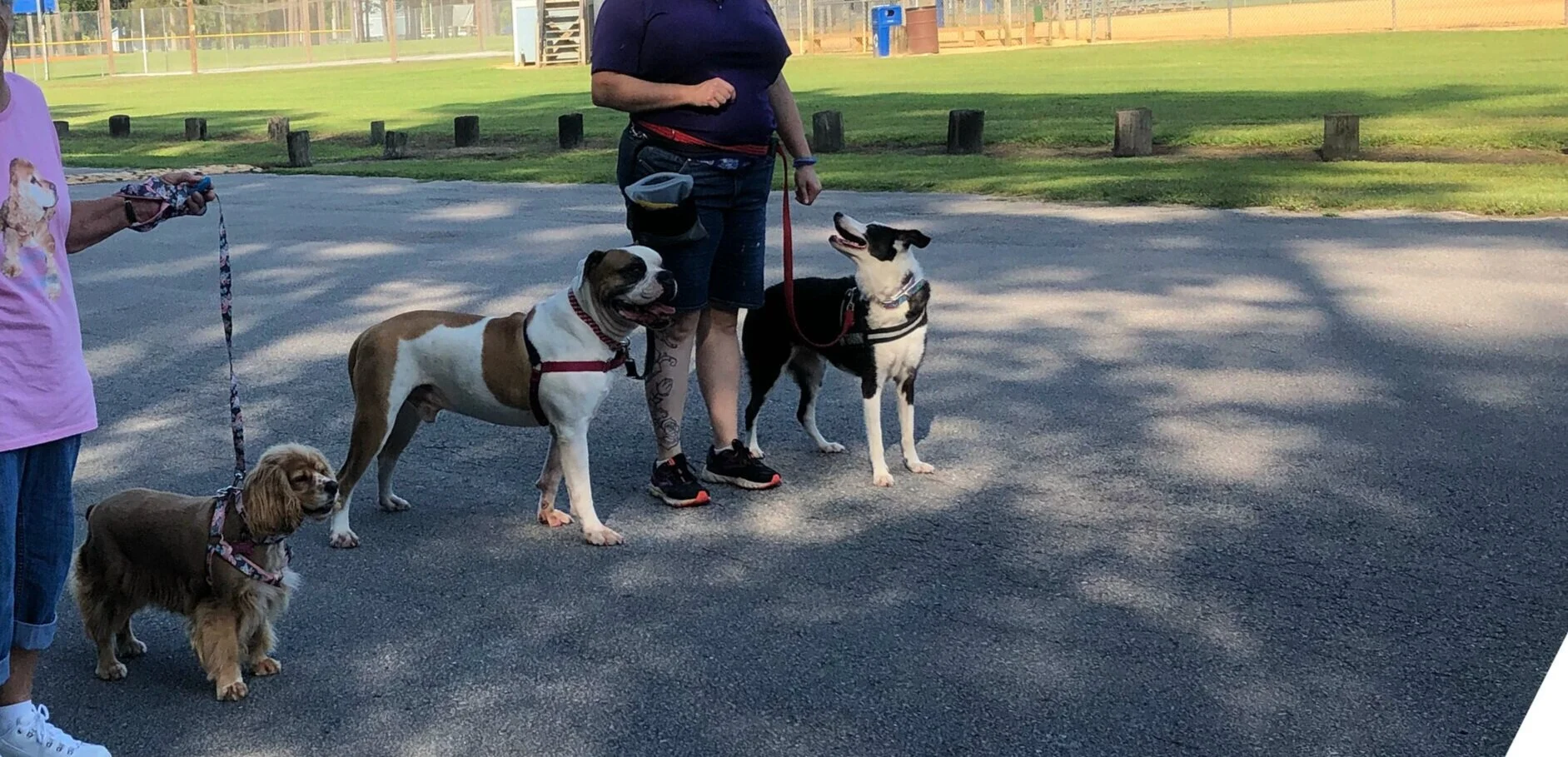 Training — Horns to Halos