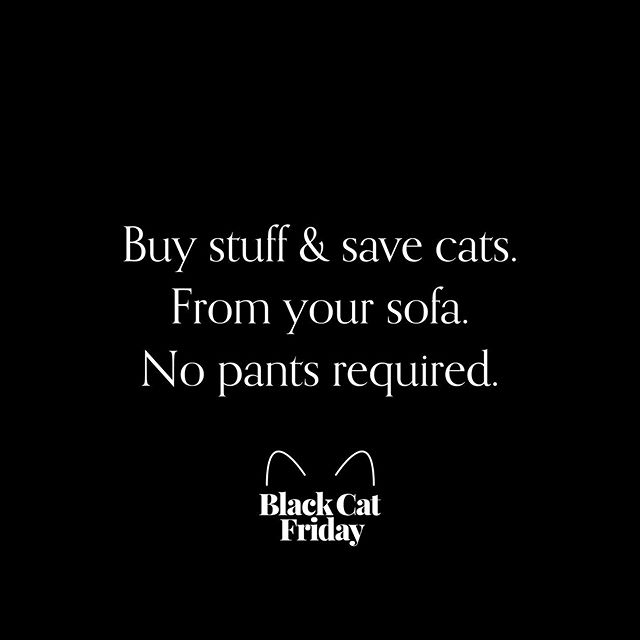 No crowd. No pants (if you&rsquo;re into that). Just buying stuff and saving cats from home. Visit the link in our bio to shop now.