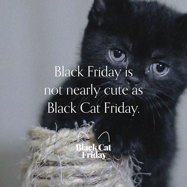 What&rsquo;s Black Cat Friday? A day to buy stuff on Amazon and help save black cats. Double cute.