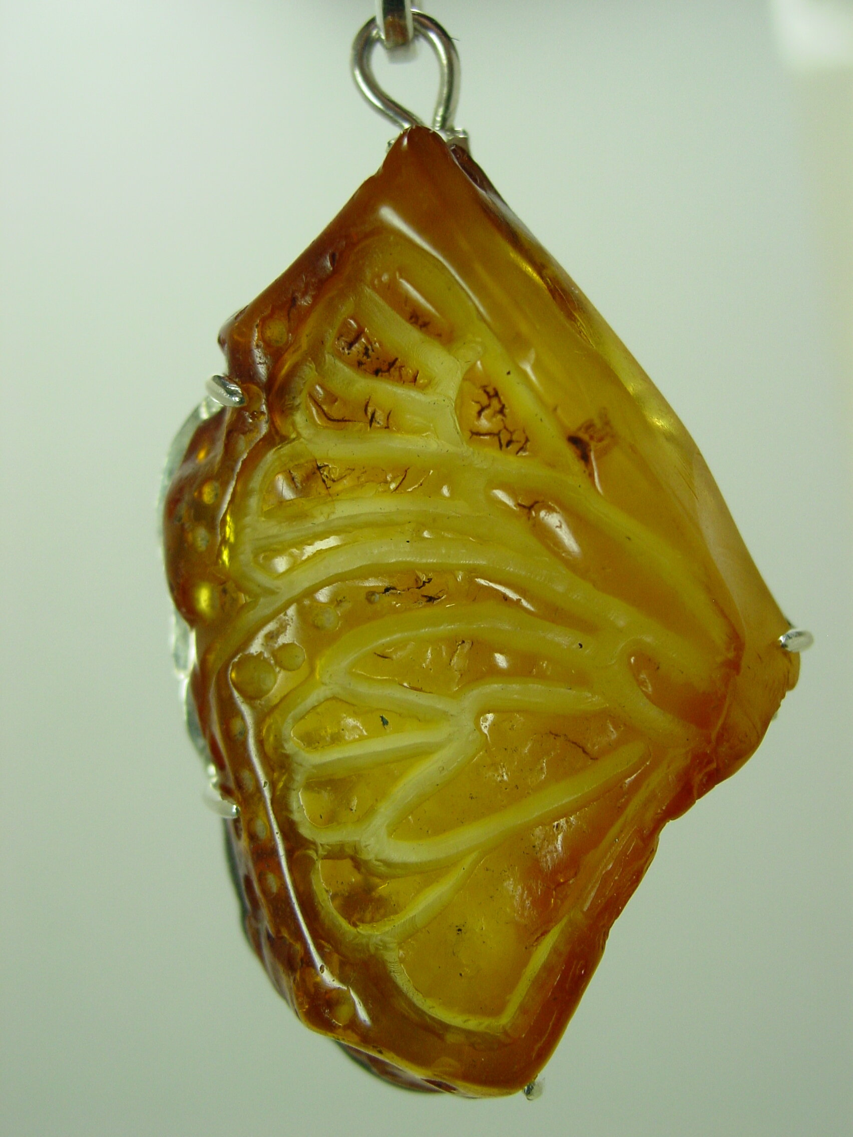 DSC07631.JPG