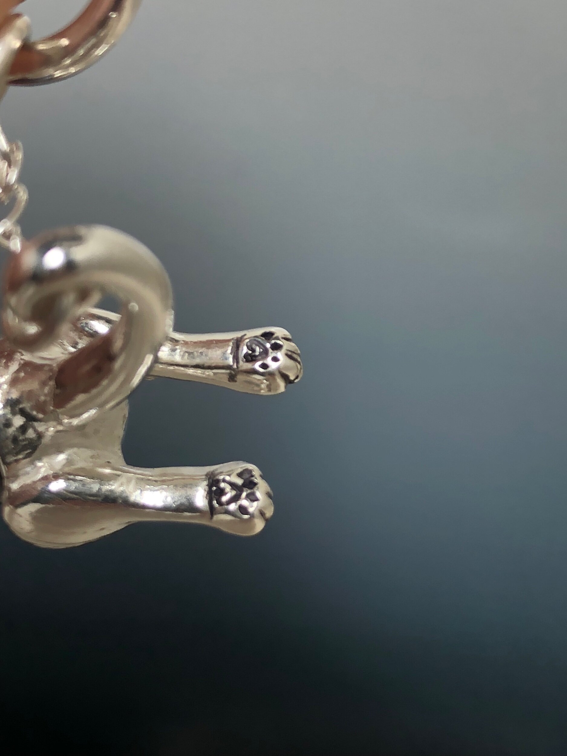 89BE2B5B-A31D-4D7E-897D-28BEDB565BB3