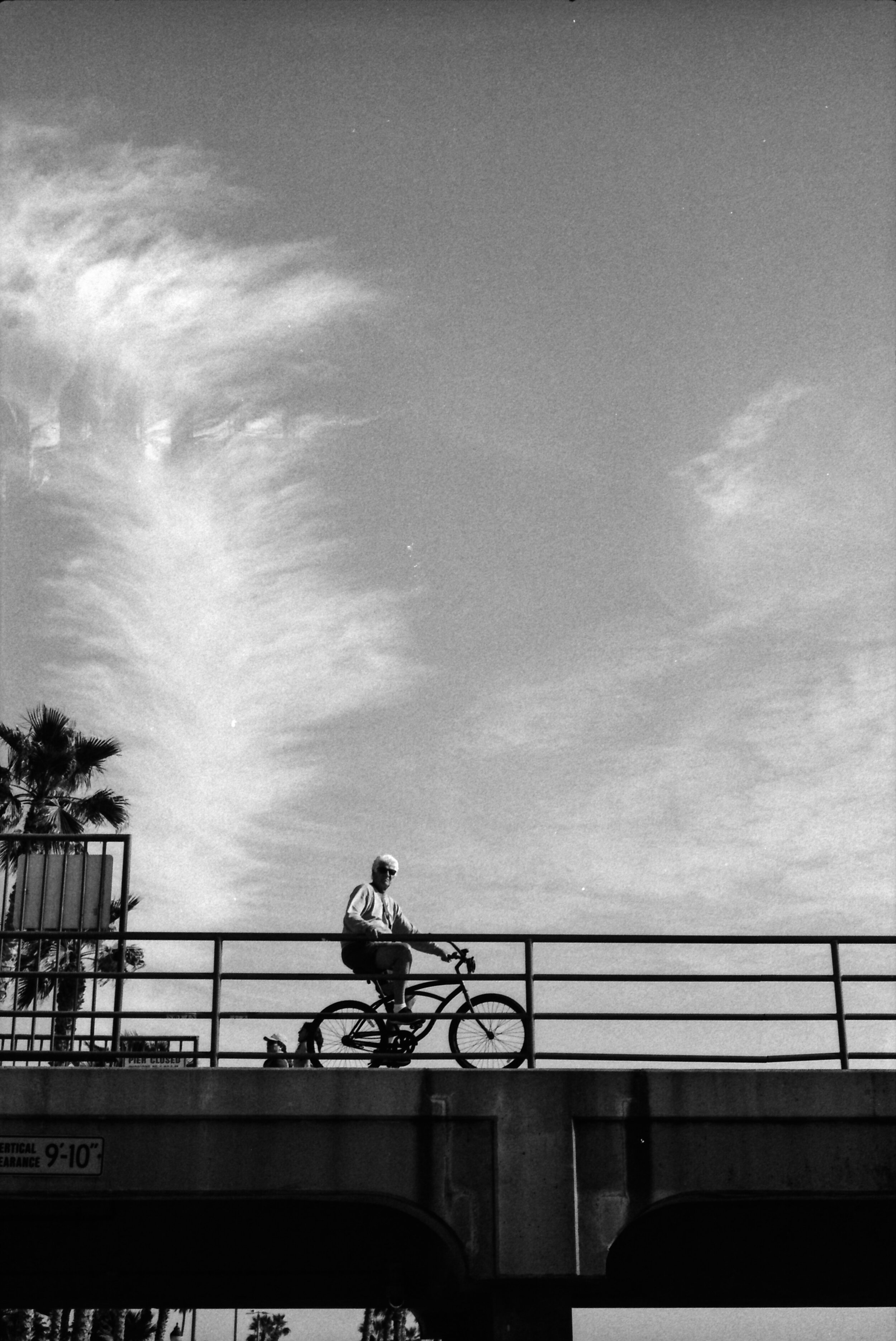Disfrutando la vista.jpg