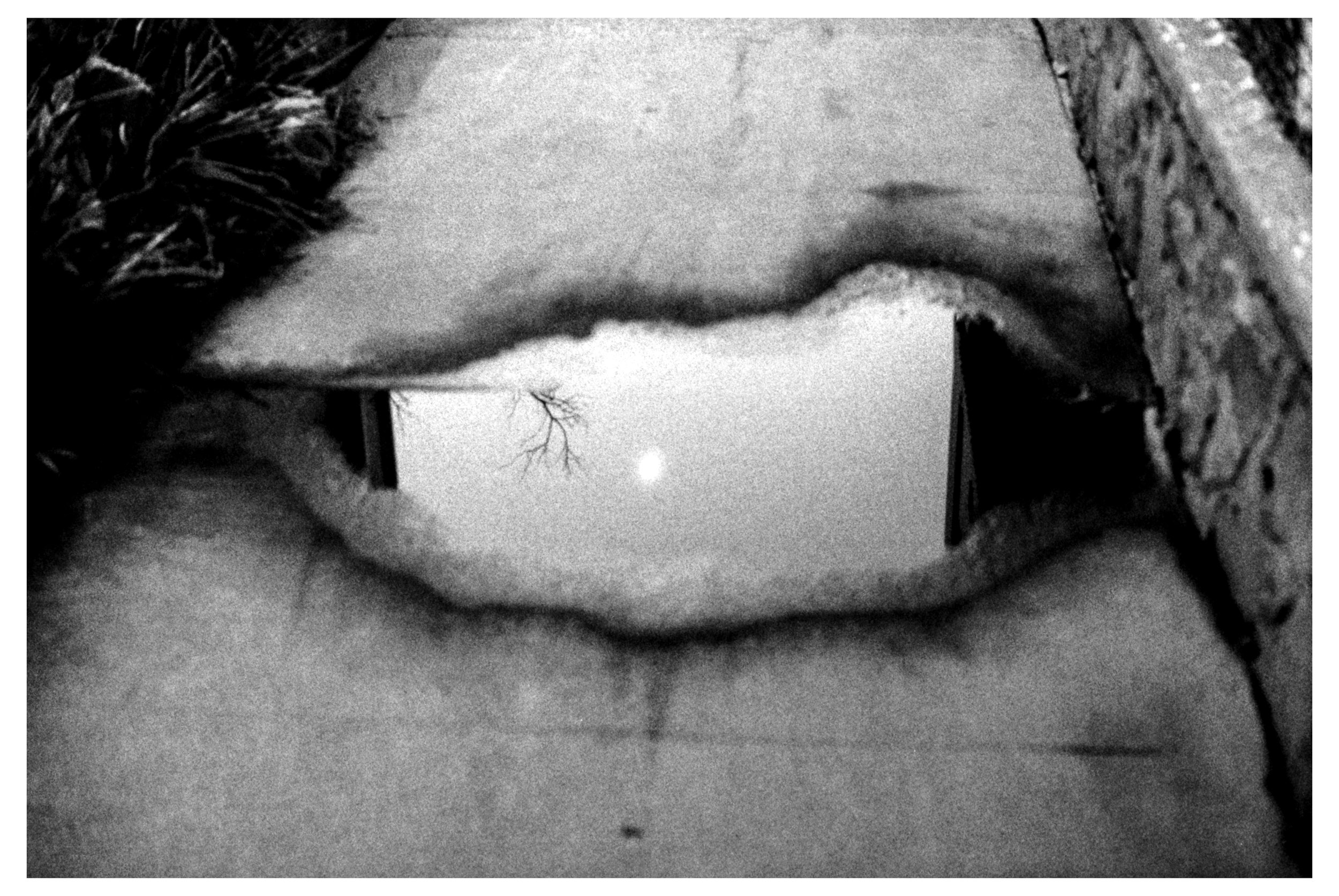 Portal a la luna.jpg
