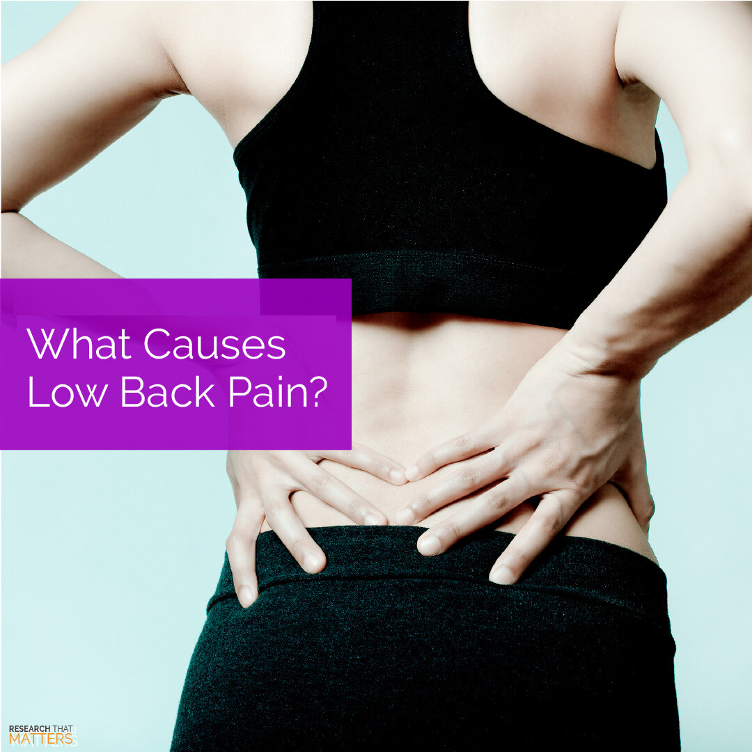 What Causes Low Back Pain?