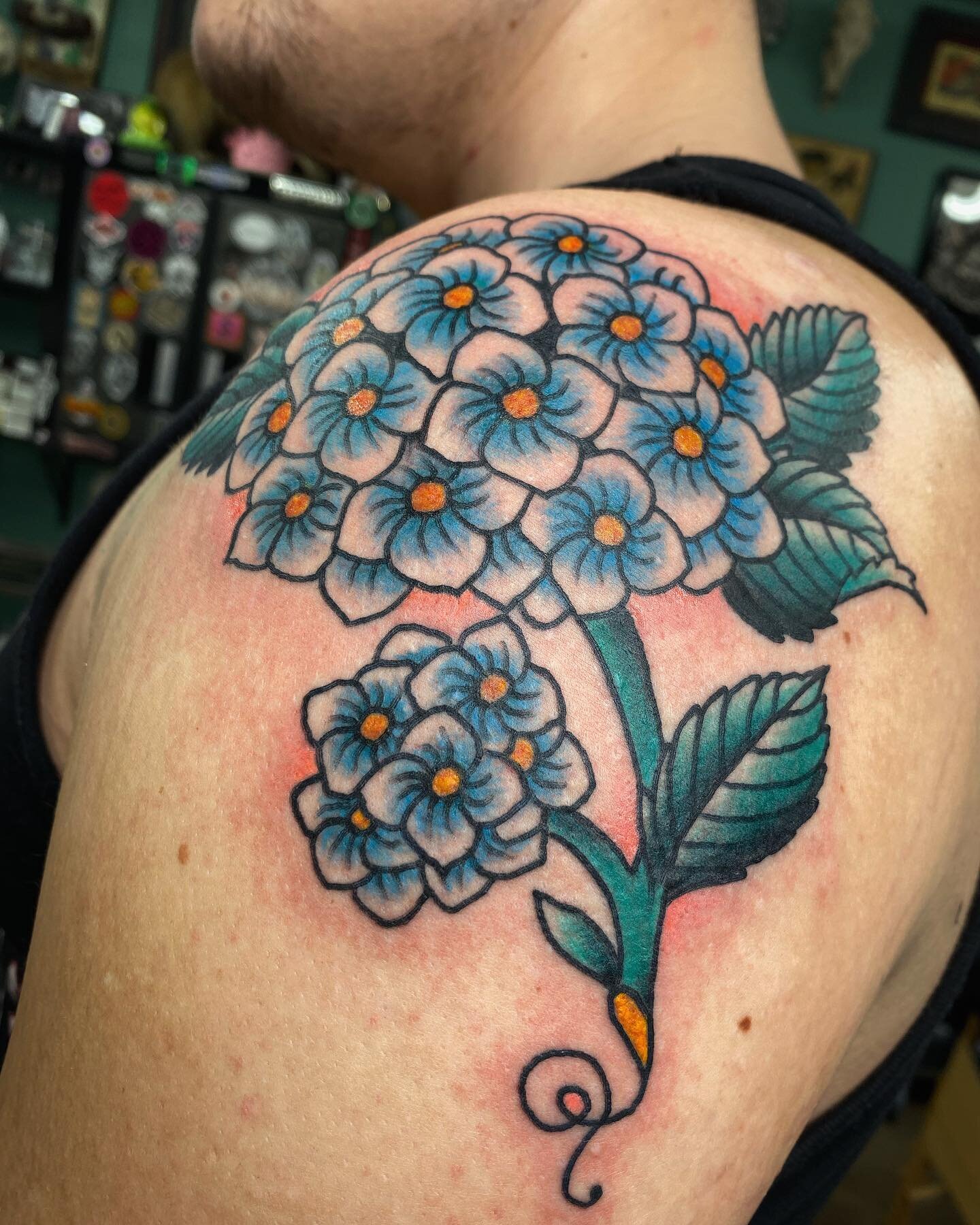 Hydrangeas💙done by 
@clairejuanatattoo 

Email to book 
clairejuanatattoo@gmail.com 
flyingdutchmantattoos635@gmail.com 

Or stop in the shop and chat in person :)