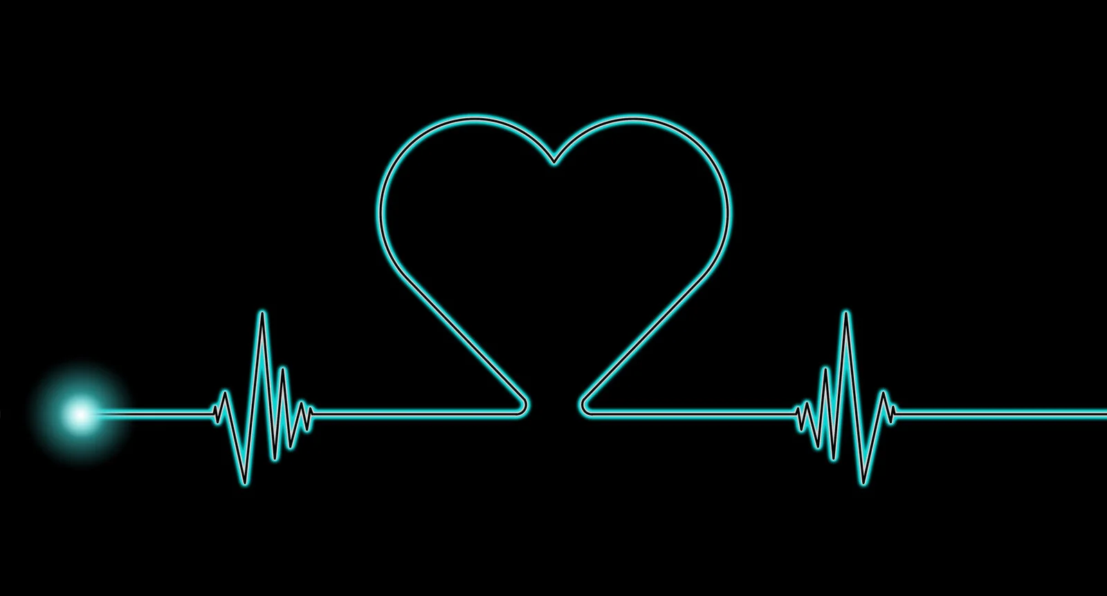 HIIT or LISS