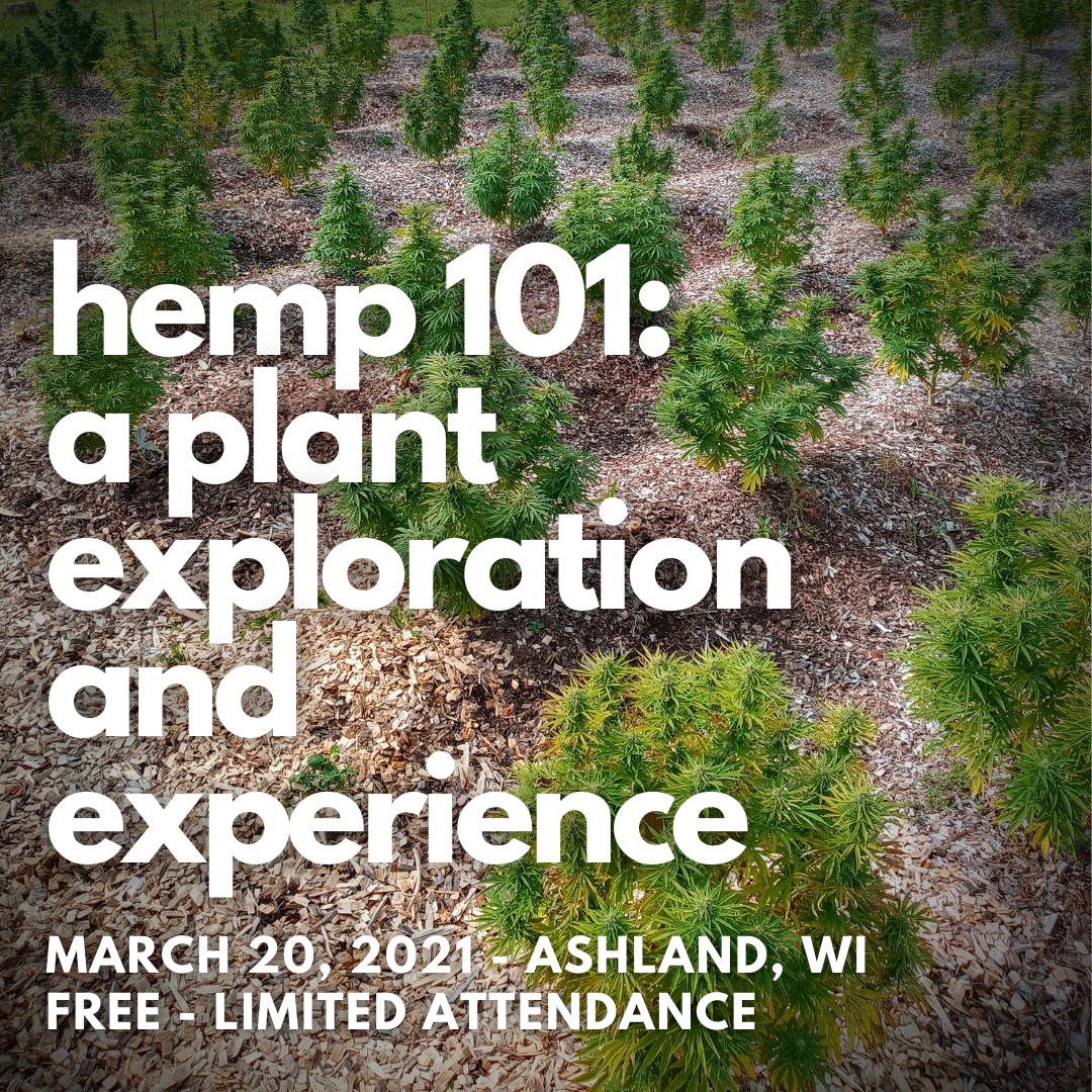 hemp 101 a plant exploration and experience.png