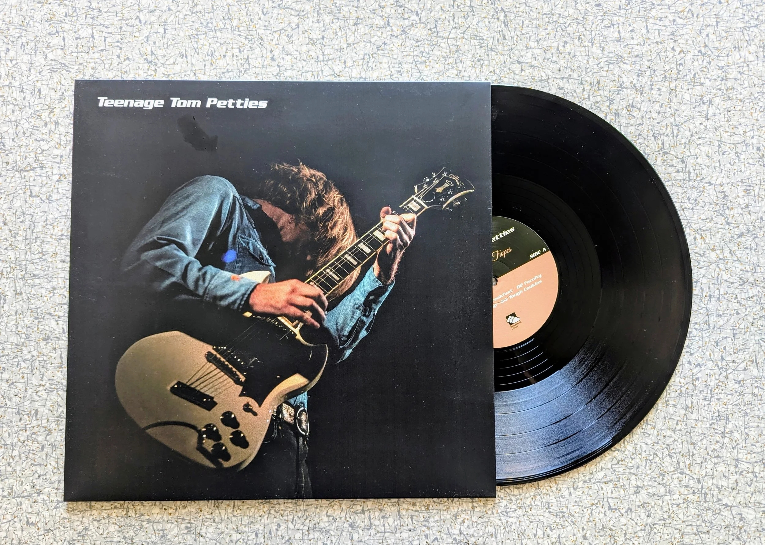 Teenage Tom Petties - Rally The Tropes LP