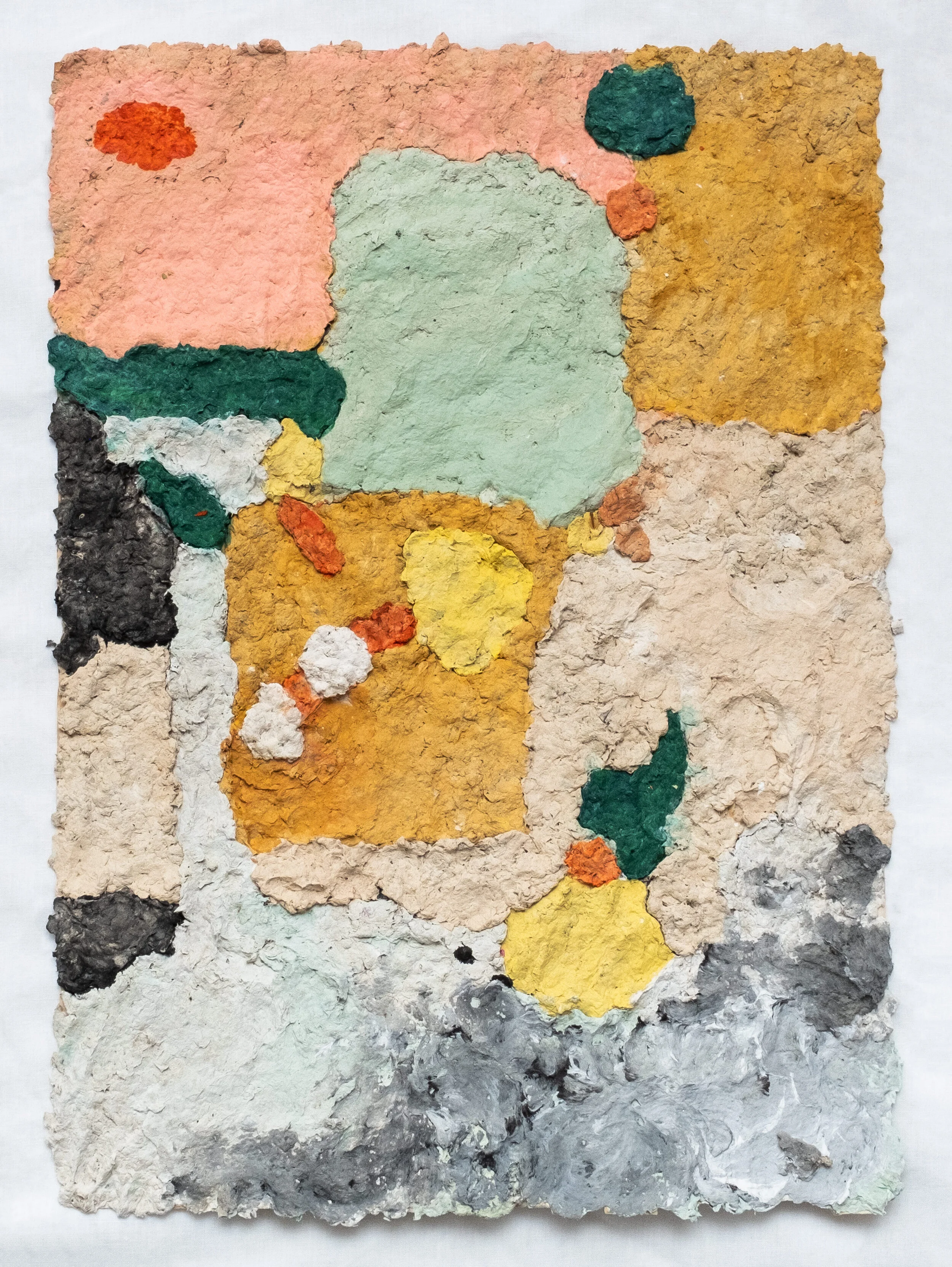 #27 Shell Collection  -              59cm x 41cm