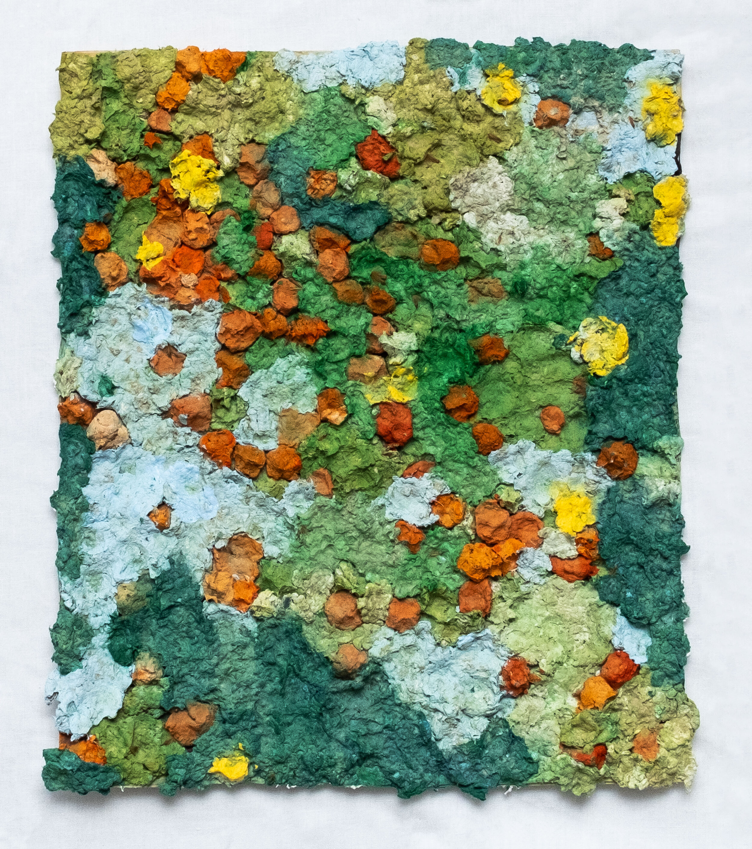 #20 Cumquat Tree 1998 - 40cm x 33cm (SOLD)