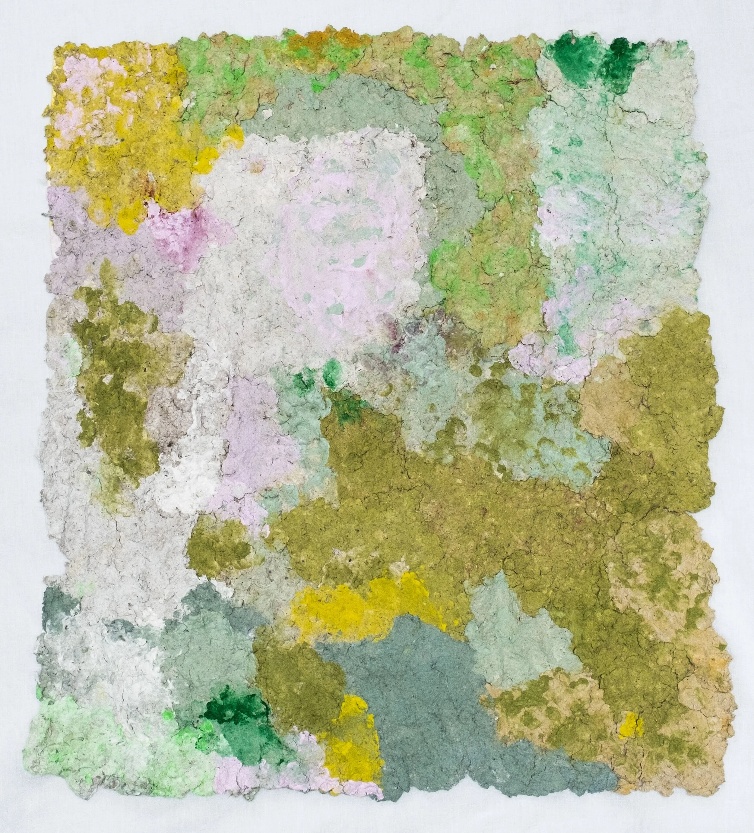 #22 Baby's Tears = 57cm x 52cm