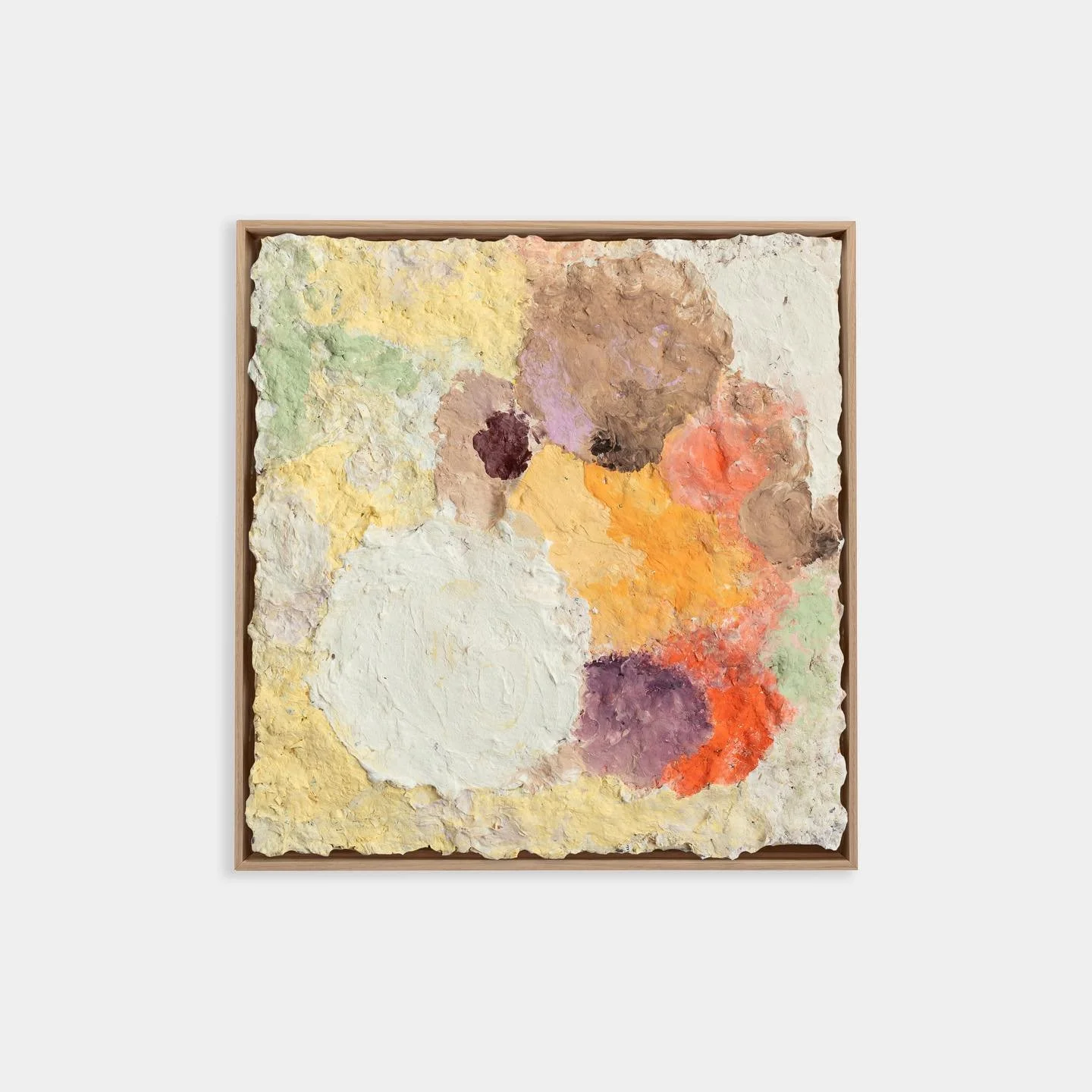 Fragrant Olive 32cm x 32cm
The Fragrant Olive (Osmanthus) isn’t a showy tree. You wouldn’t know there was something special about its restrained appearance. It’s a plant that reveals itself on a gentle breeze if you’re lucky e