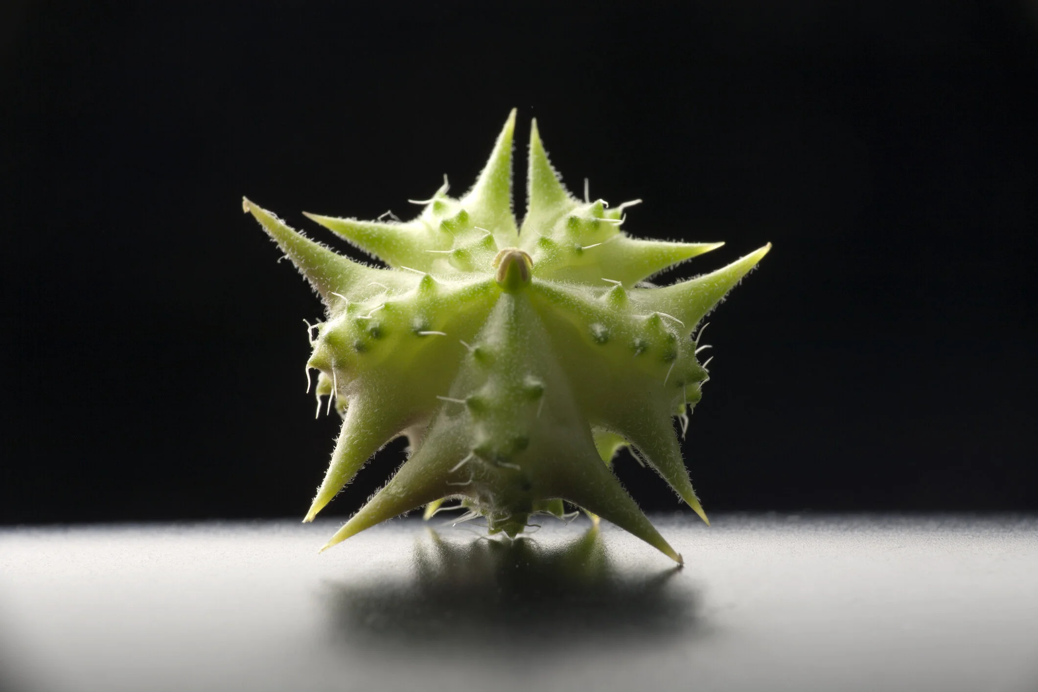 Negative Remarks Are Like Goatheads