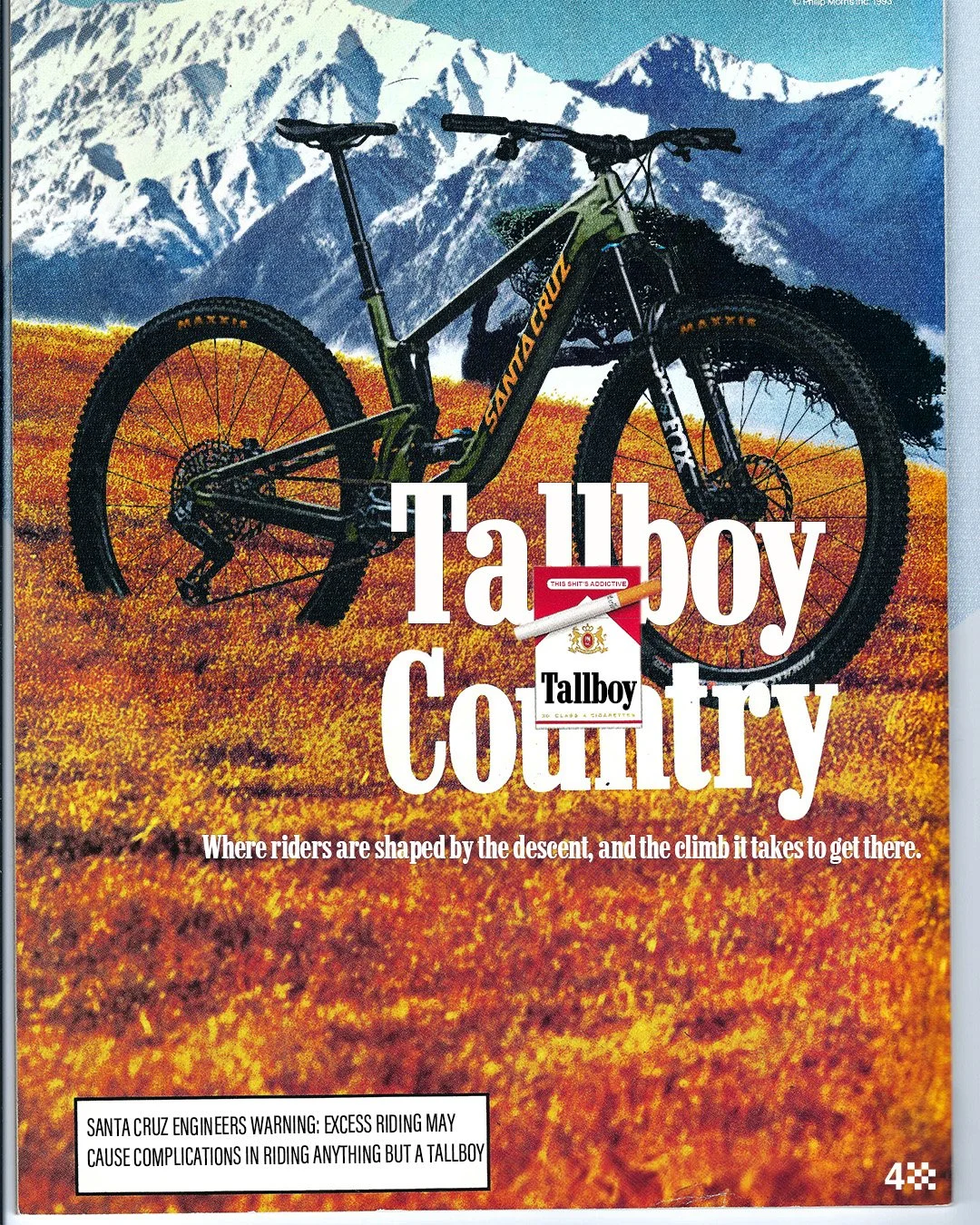 Tallboy_1.jpg
